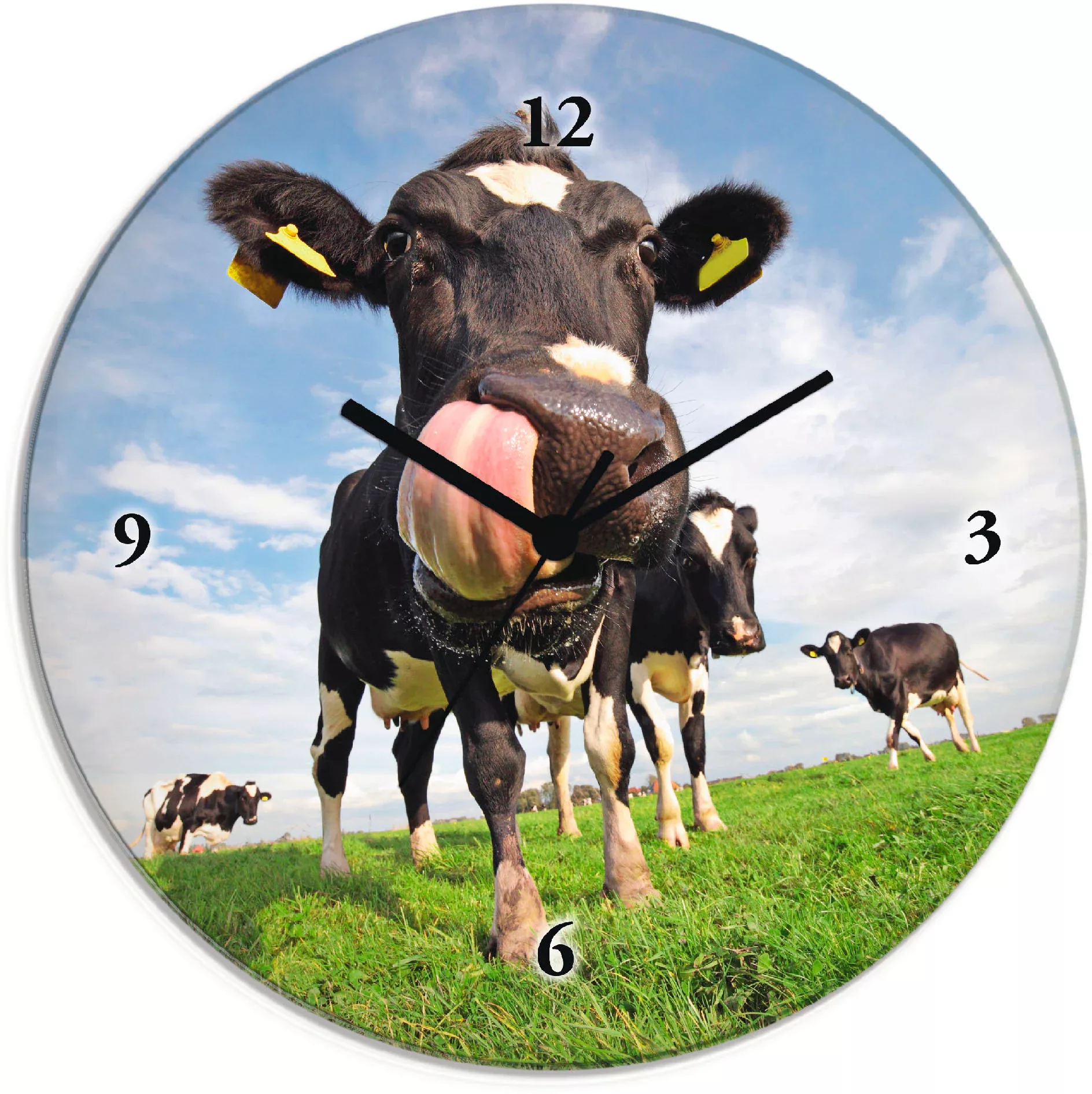 Artland Wanduhr "Holstein-Kuh mit gewaltiger Zunge" günstig online kaufen
