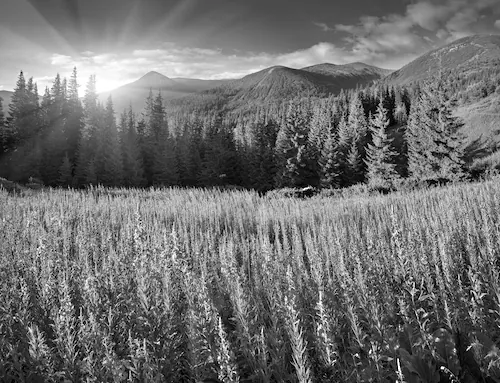 Papermoon Fototapete »Landschaft Schwarz & Weiß« günstig online kaufen