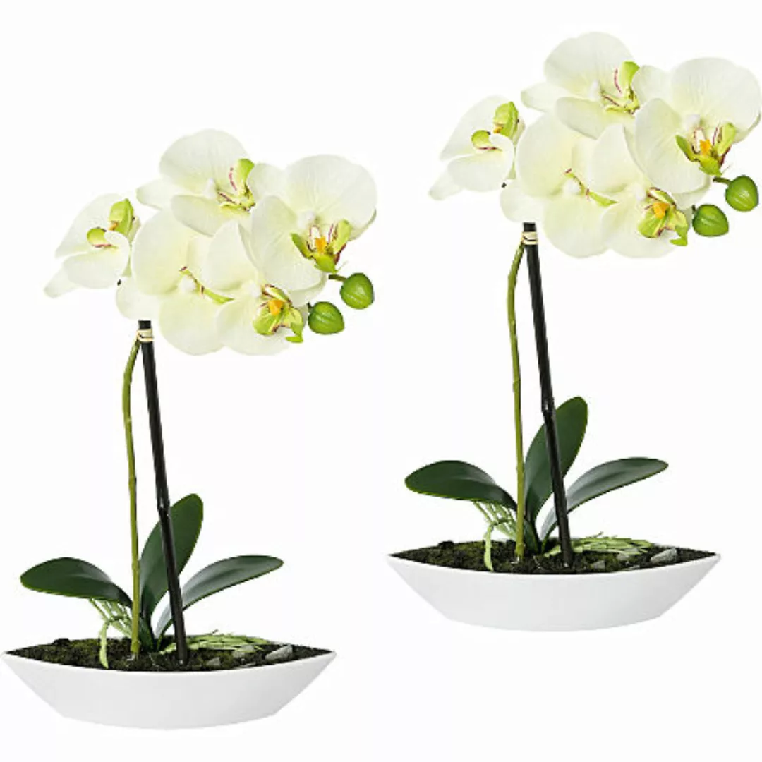 Kunstpflanze Orchidee im 2er-Pack günstig online kaufen