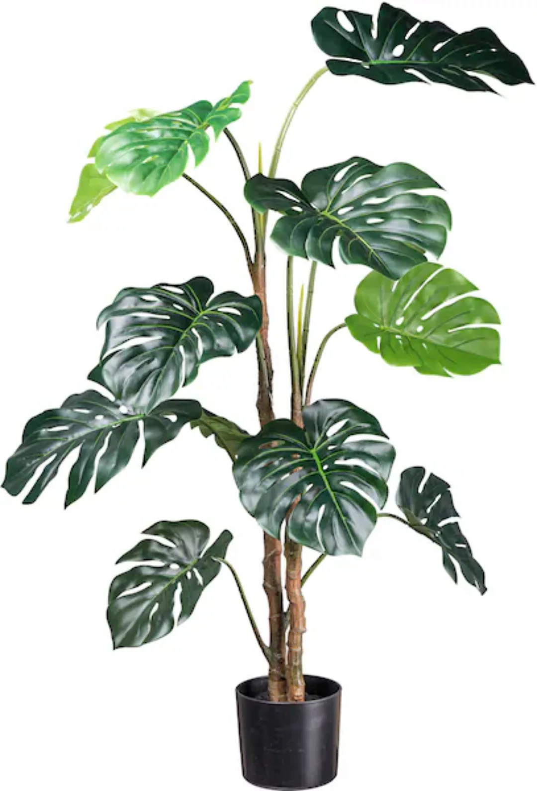 Creativ green Künstliche Zimmerpflanze »Splitphilodendron«, mit detailgetre günstig online kaufen