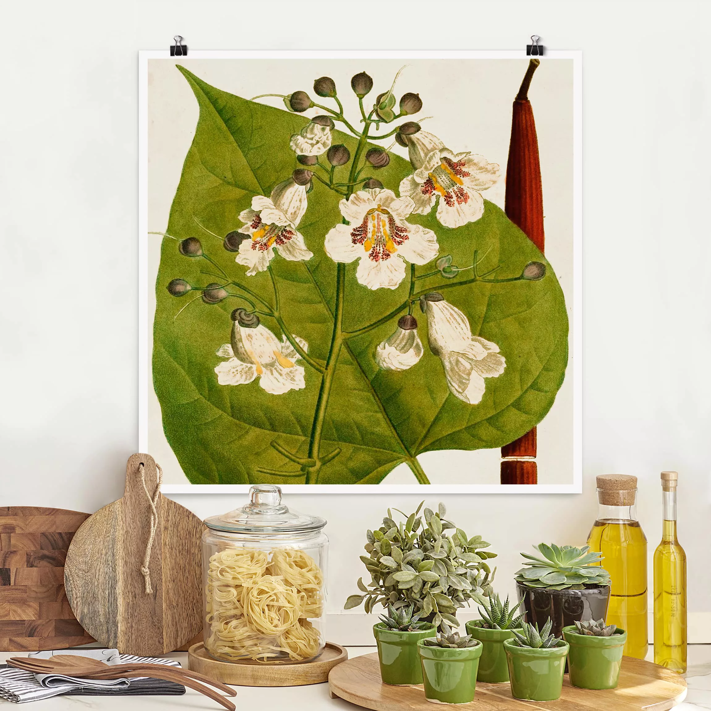 Poster Blumen - Quadrat Tableau Blatt Blüte Frucht V günstig online kaufen