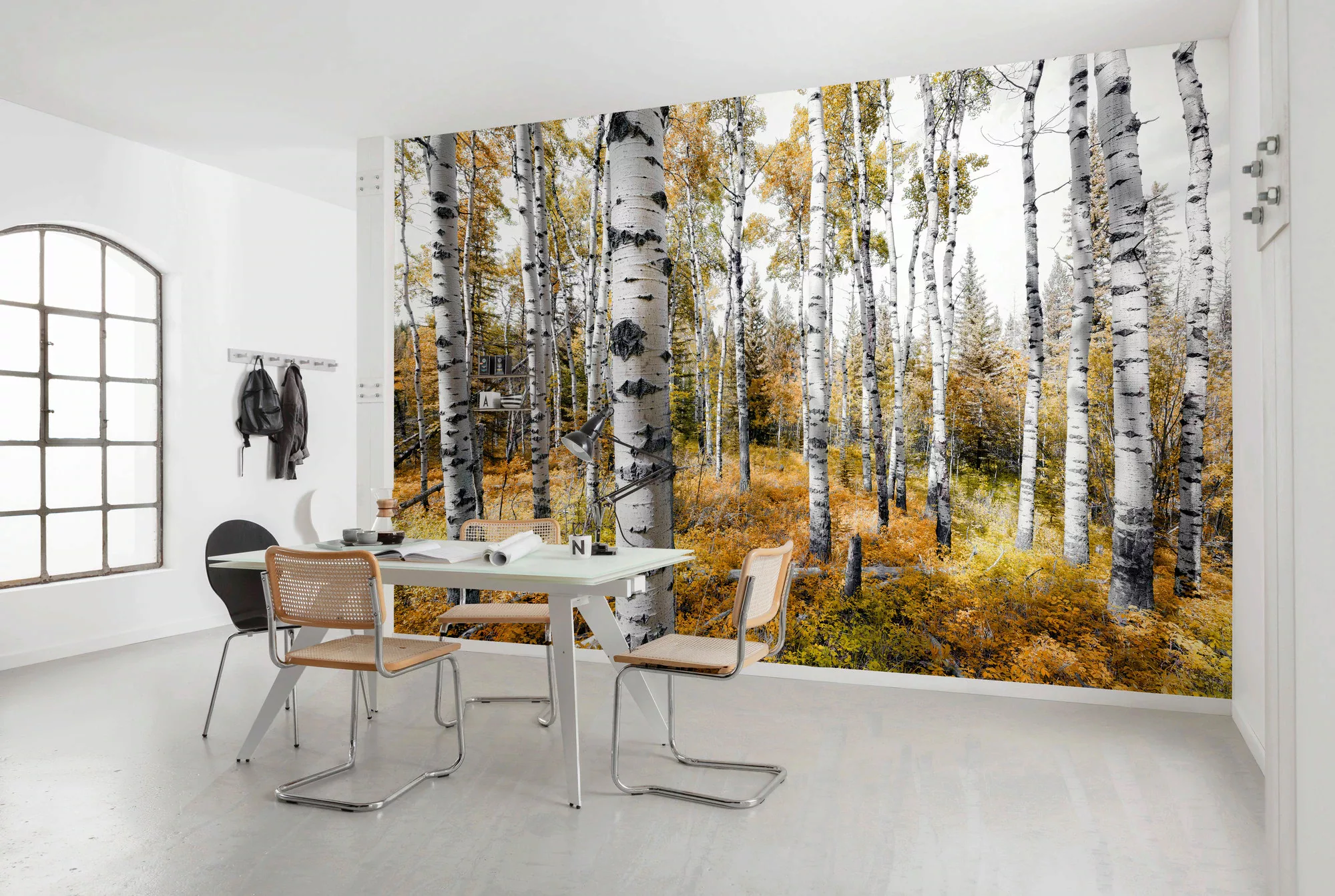 KOMAR Vlies Fototapete - Colorful Aspenwoods - Größe 450 x 280 cm mehrfarbi günstig online kaufen