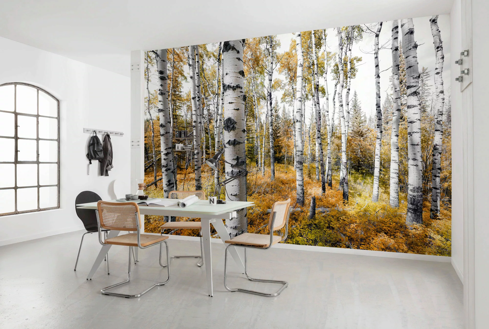 Vlies Fototapete Colorful Aspenwoods 450x280 cm günstig online kaufen