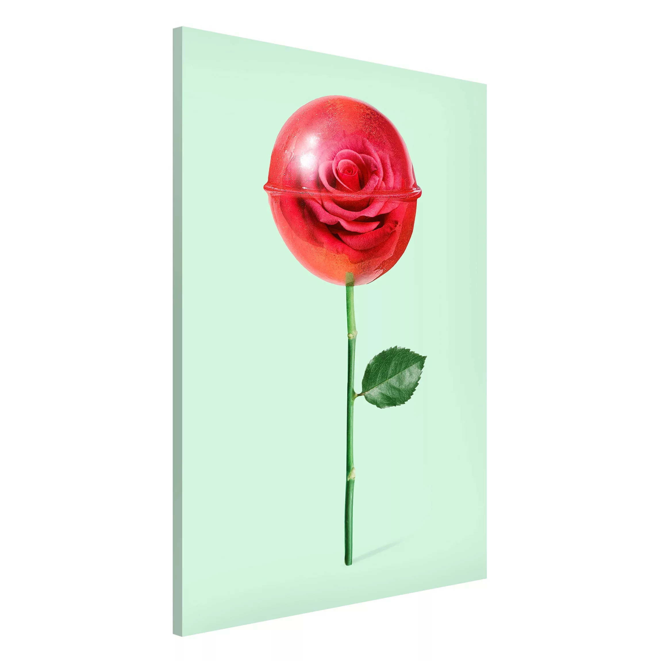 Magnettafel Blumen - Hochformat 2:3 Rose mit Lollipop günstig online kaufen