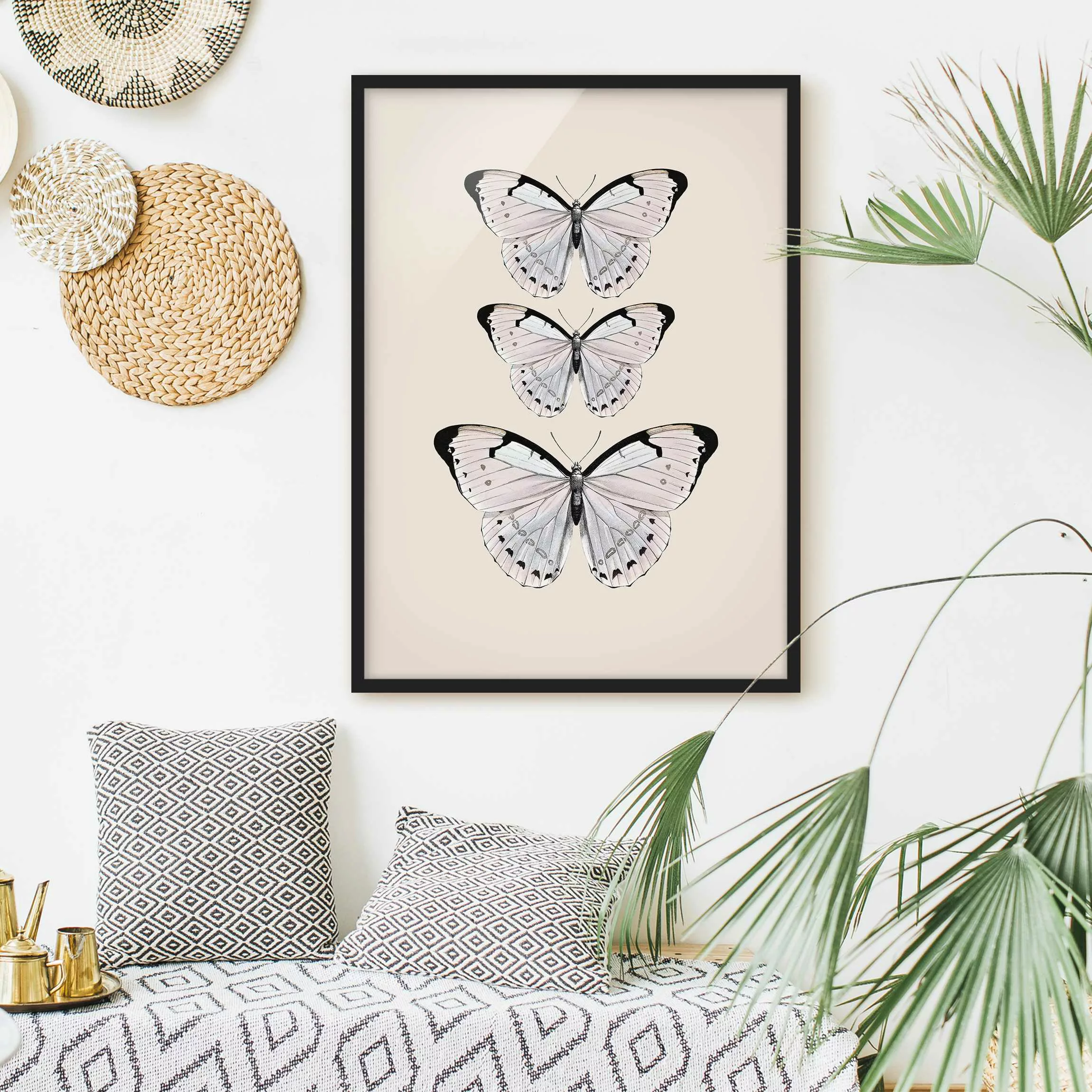 Bild mit Rahmen Schmetterling auf Beige günstig online kaufen