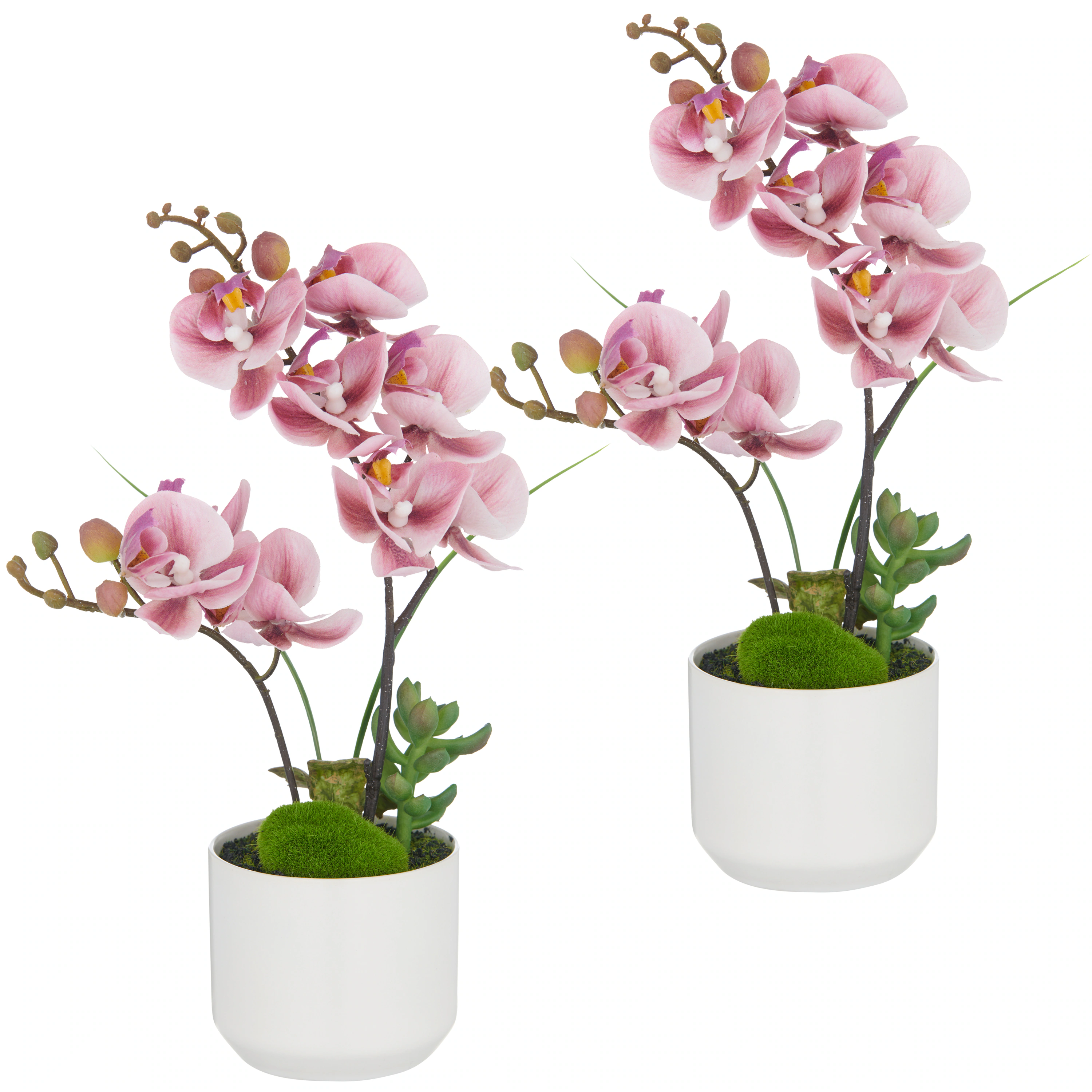 Creativ green Kunstorchidee "Orchidee Phalaenopsis", mit real-touch-Blüten günstig online kaufen