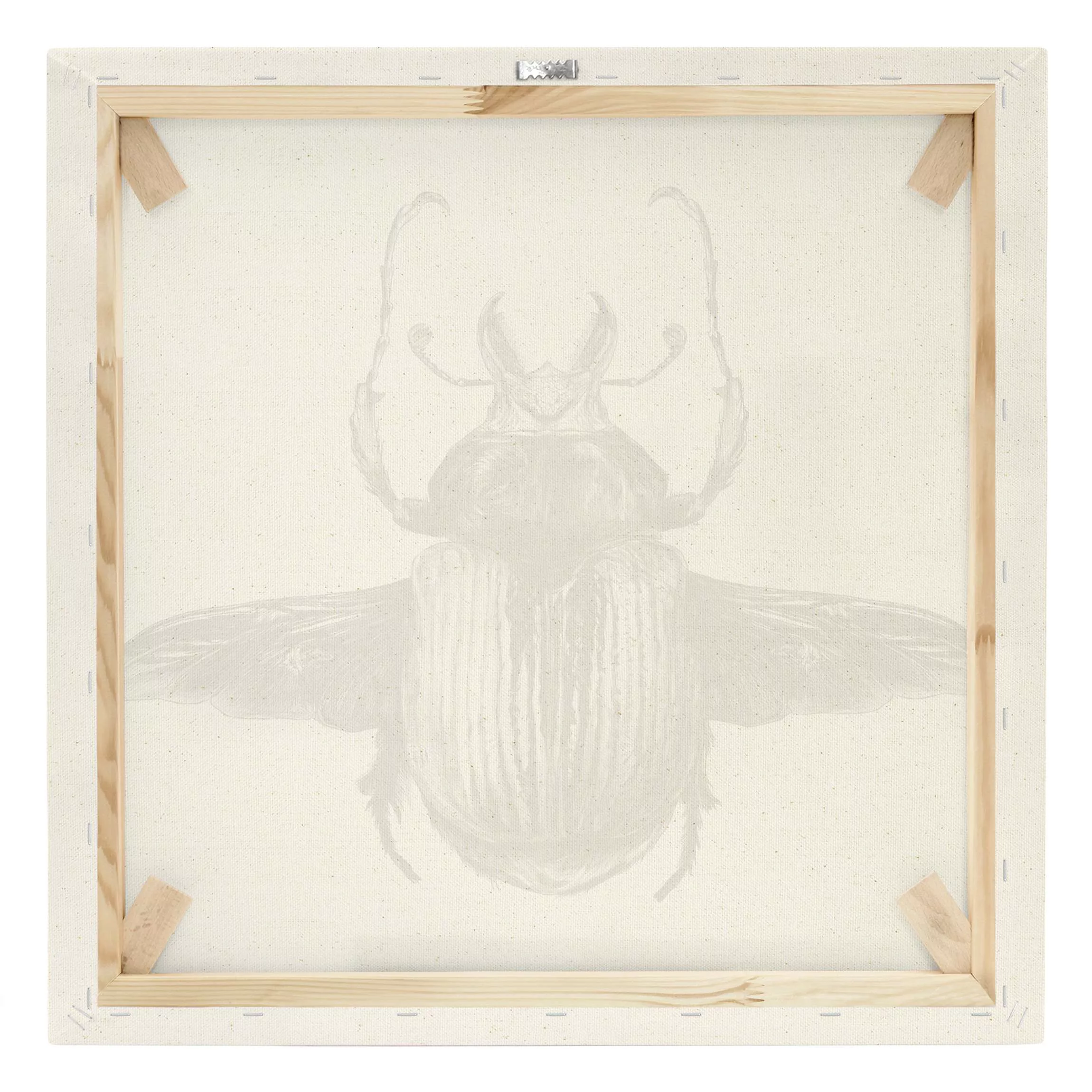 Leinwandbild auf Naturcanvas Illustration fliegender Käfer Schwarz günstig online kaufen