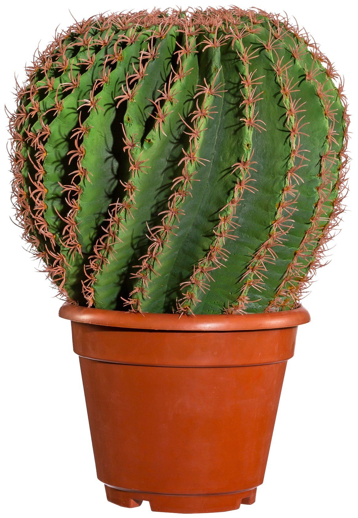 Creativ green Kunstpflanze "Kaktus Echino" günstig online kaufen