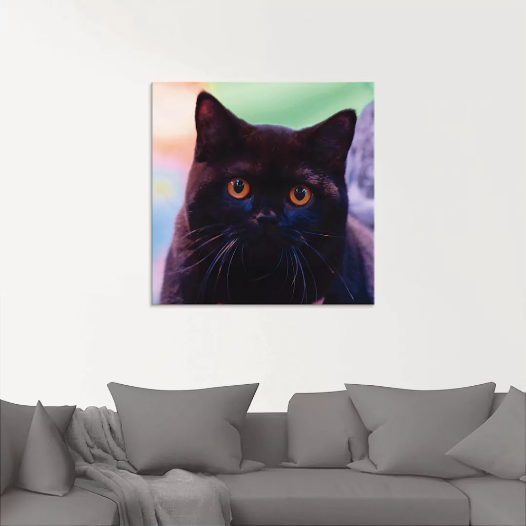Artland Glasbild »Schwarze Britisch Kurzhaarkatze«, Haustiere, (1 St.), in günstig online kaufen