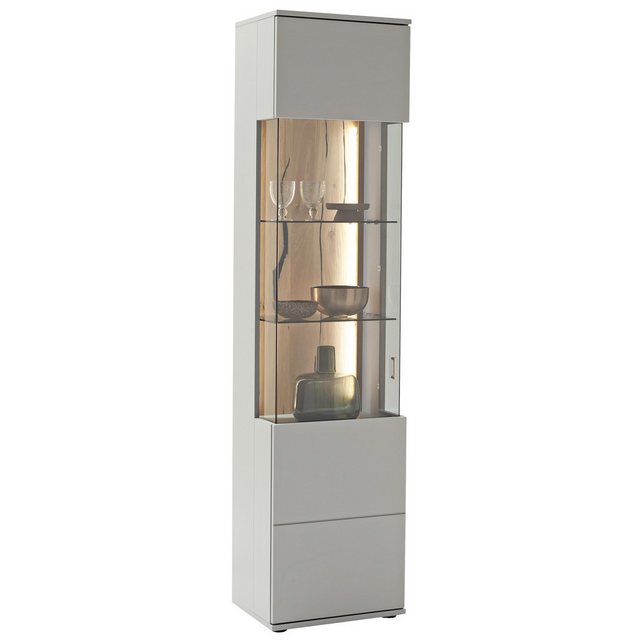 expendio Vitrine Semi 2 Arktis grau, lackiert / Risseiche furniert, geölt, günstig online kaufen