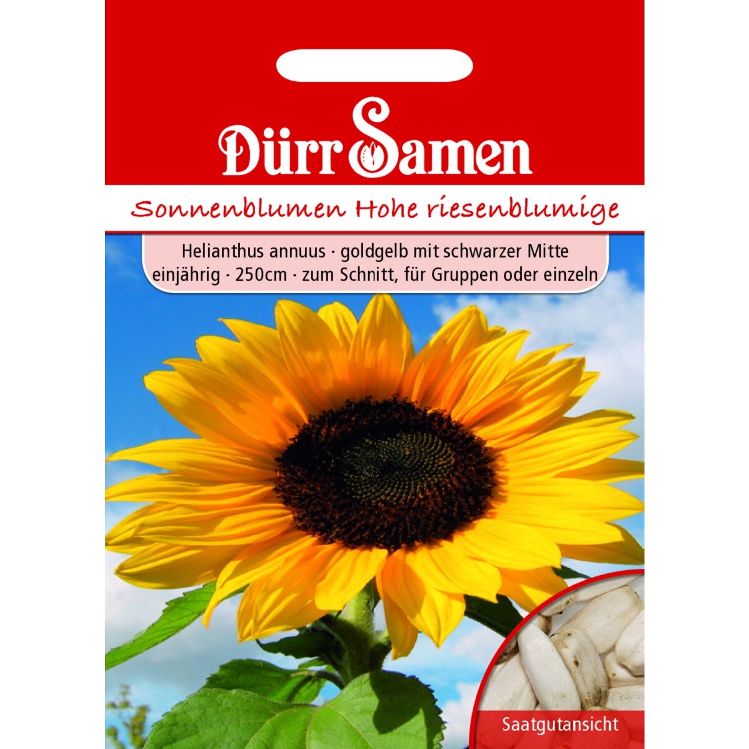 Dürr Samen Sonnenblume Hohe Riesen Goldgelb Mit Schwarzer Mitte Saatgut günstig online kaufen