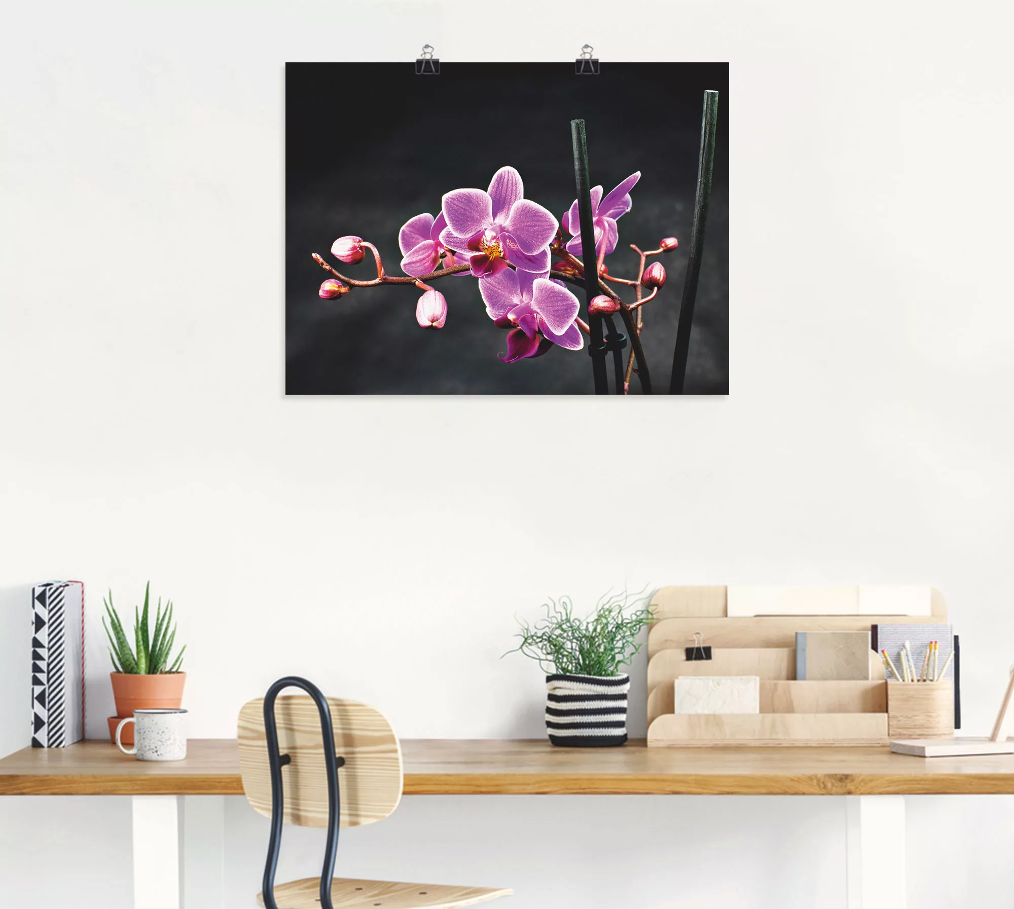 Artland Wandbild "Eine Orchidee vor schwarzem Hintergrund", Blumen, (1 St.) günstig online kaufen