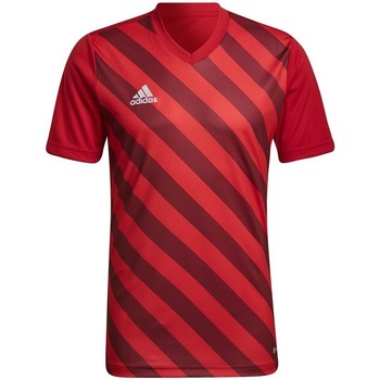 adidas  T-Shirt Entrada 22 günstig online kaufen