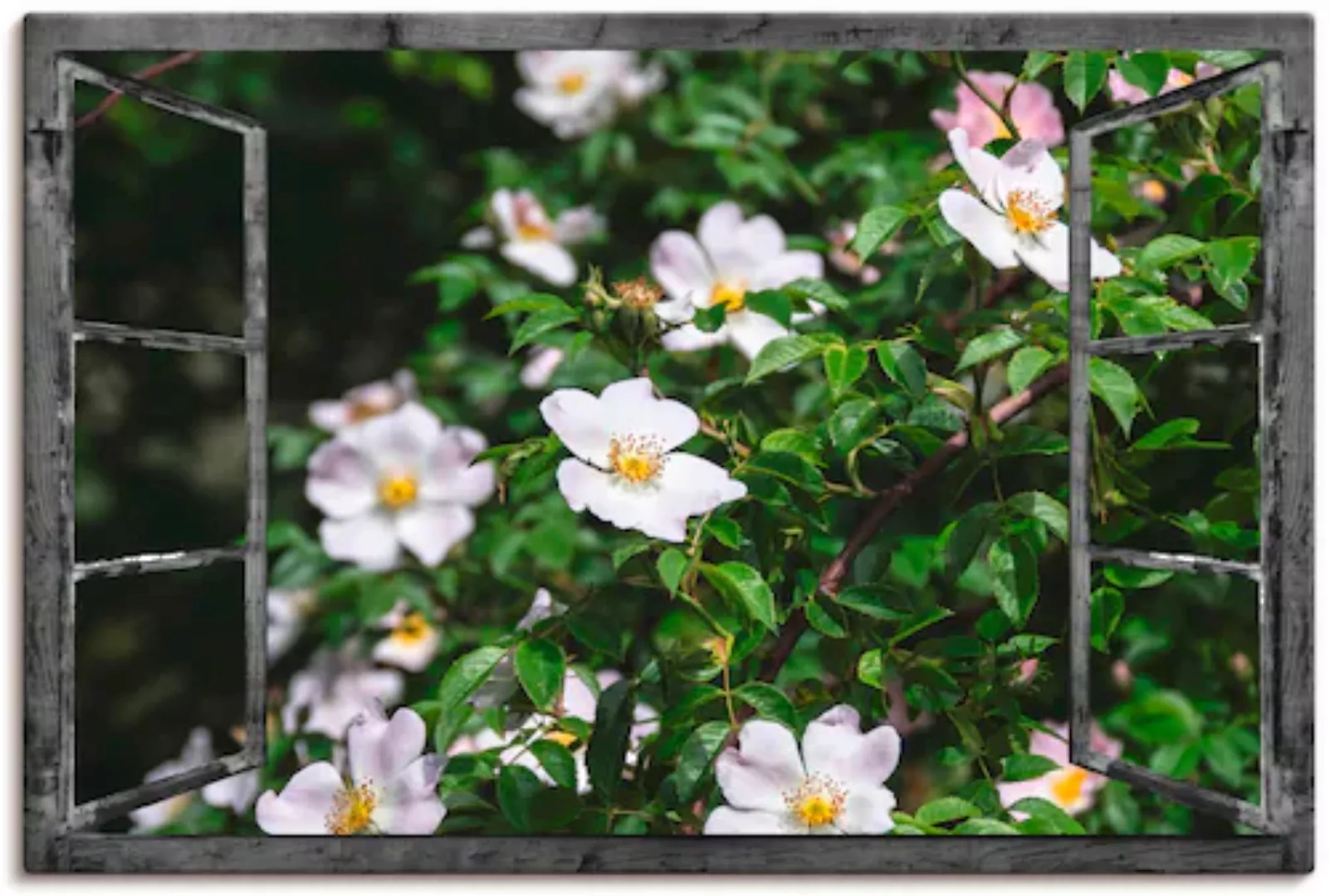 Artland Leinwandbild "Fensterblick - Wildrosen", Fensterblick, (1 St.), auf günstig online kaufen