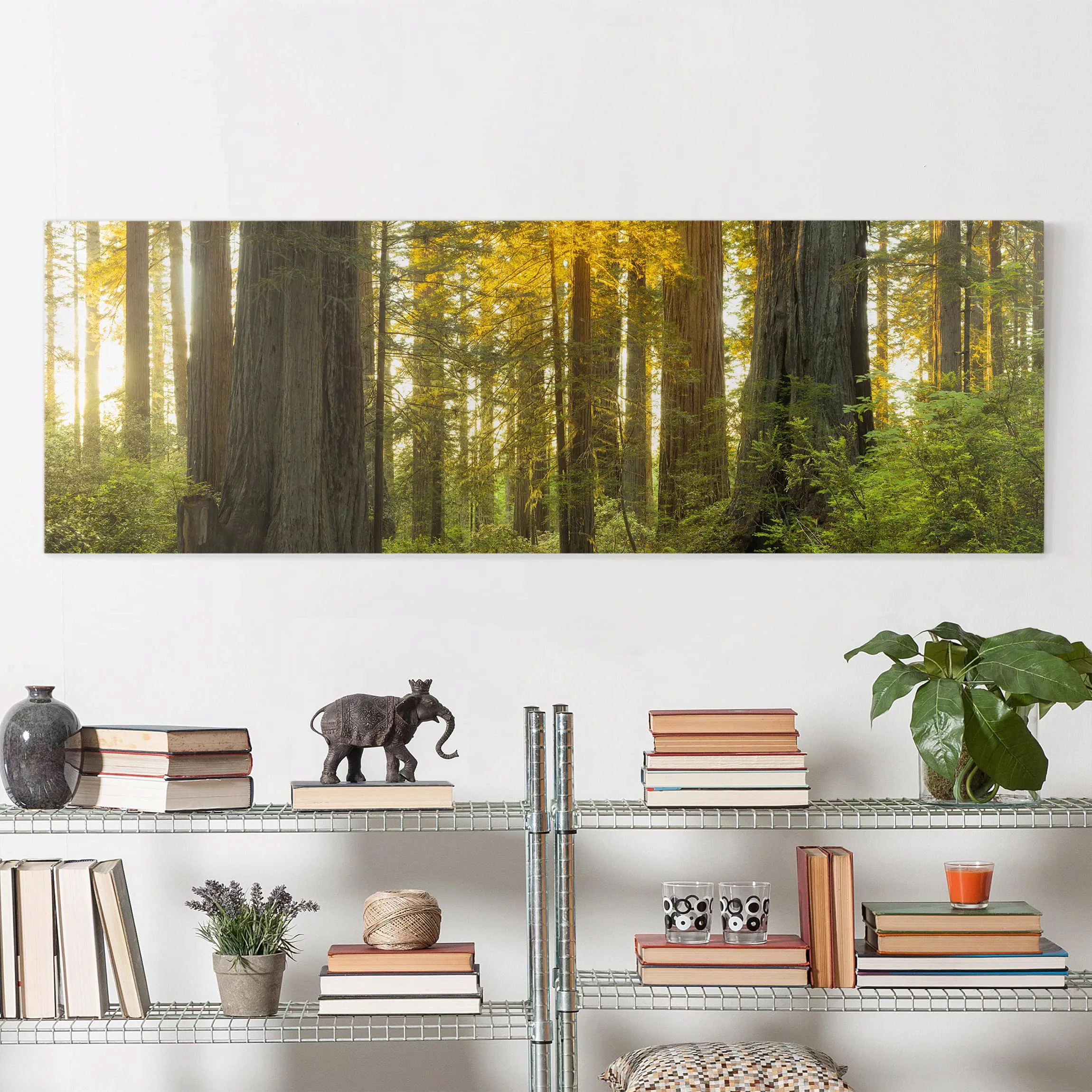 Leinwandbild Wald - Panorama Redwood National Park günstig online kaufen