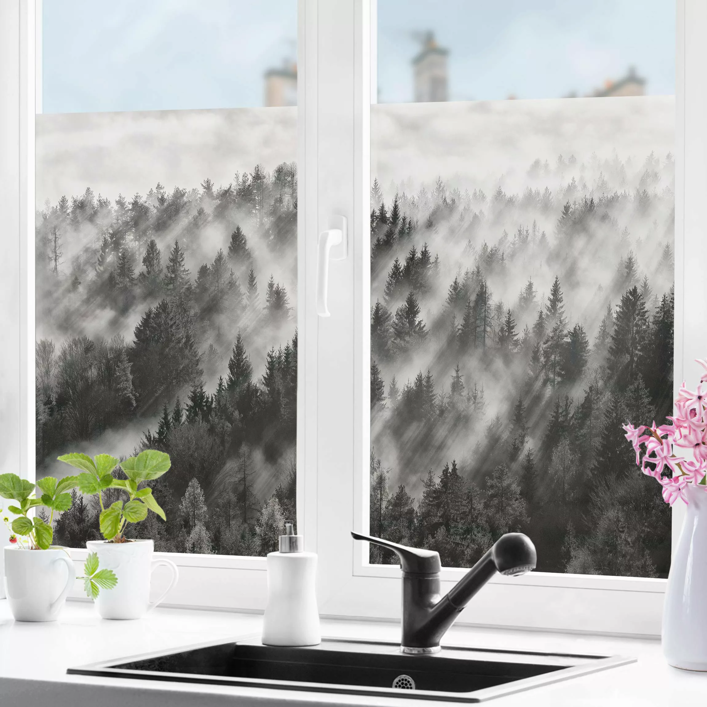 Fensterfolie Lichtstrahlen im Nadelwald günstig online kaufen