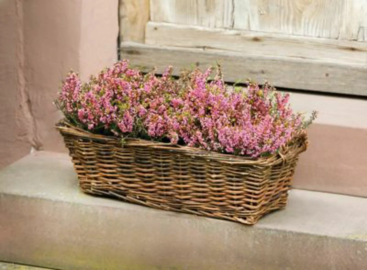HOME Living Pflanz-Korb Pflanz-Korb Blumentöpfe braun günstig online kaufen