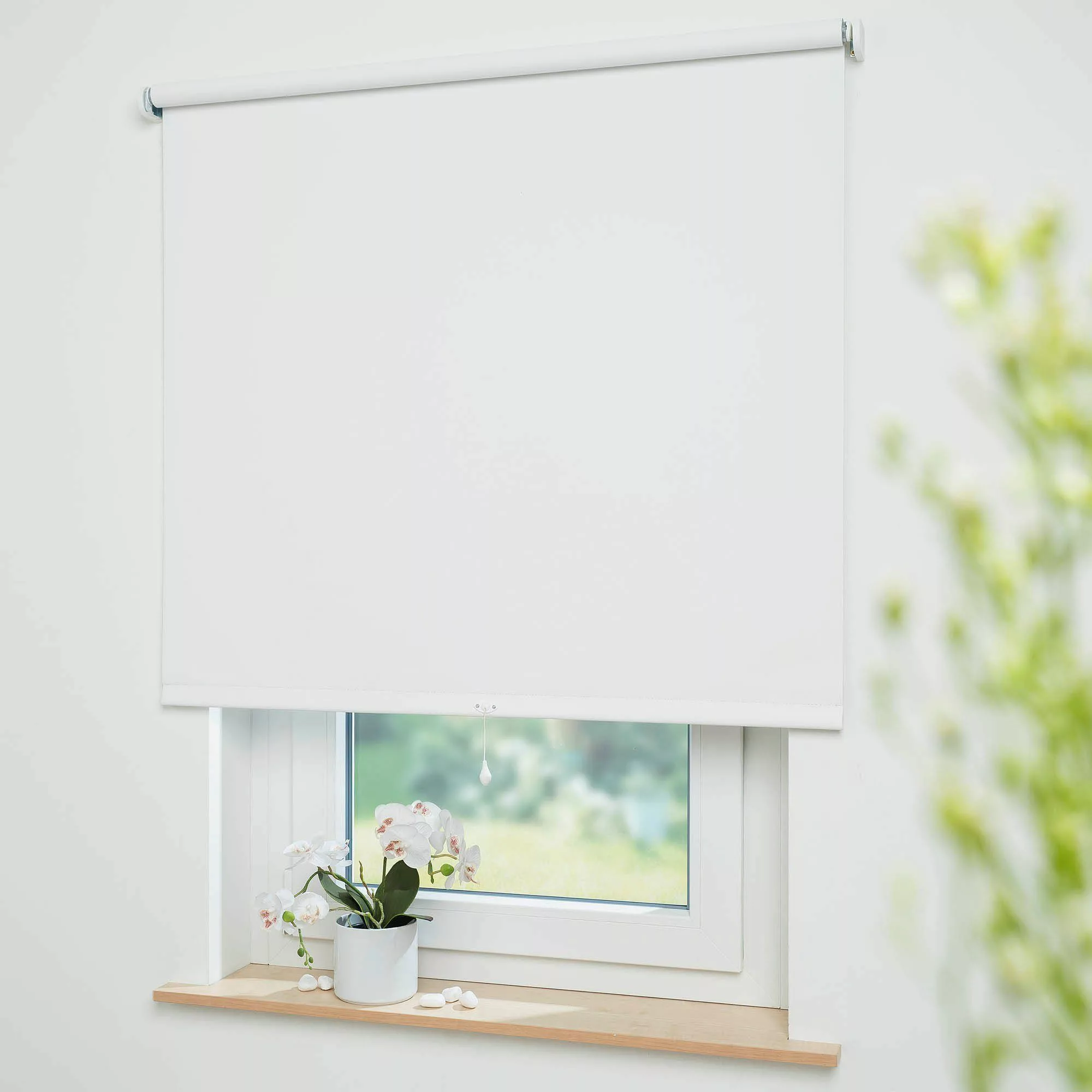 Springrollo Uni, Liedeco, verdunkelnd, mit Bohren, günstig online kaufen