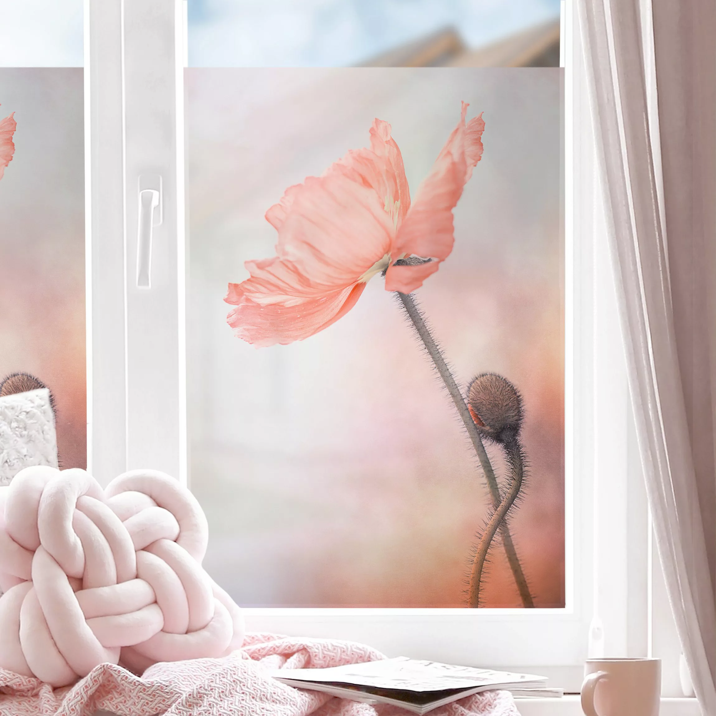 Fensterfolie Mohnblumen Close-Up günstig online kaufen