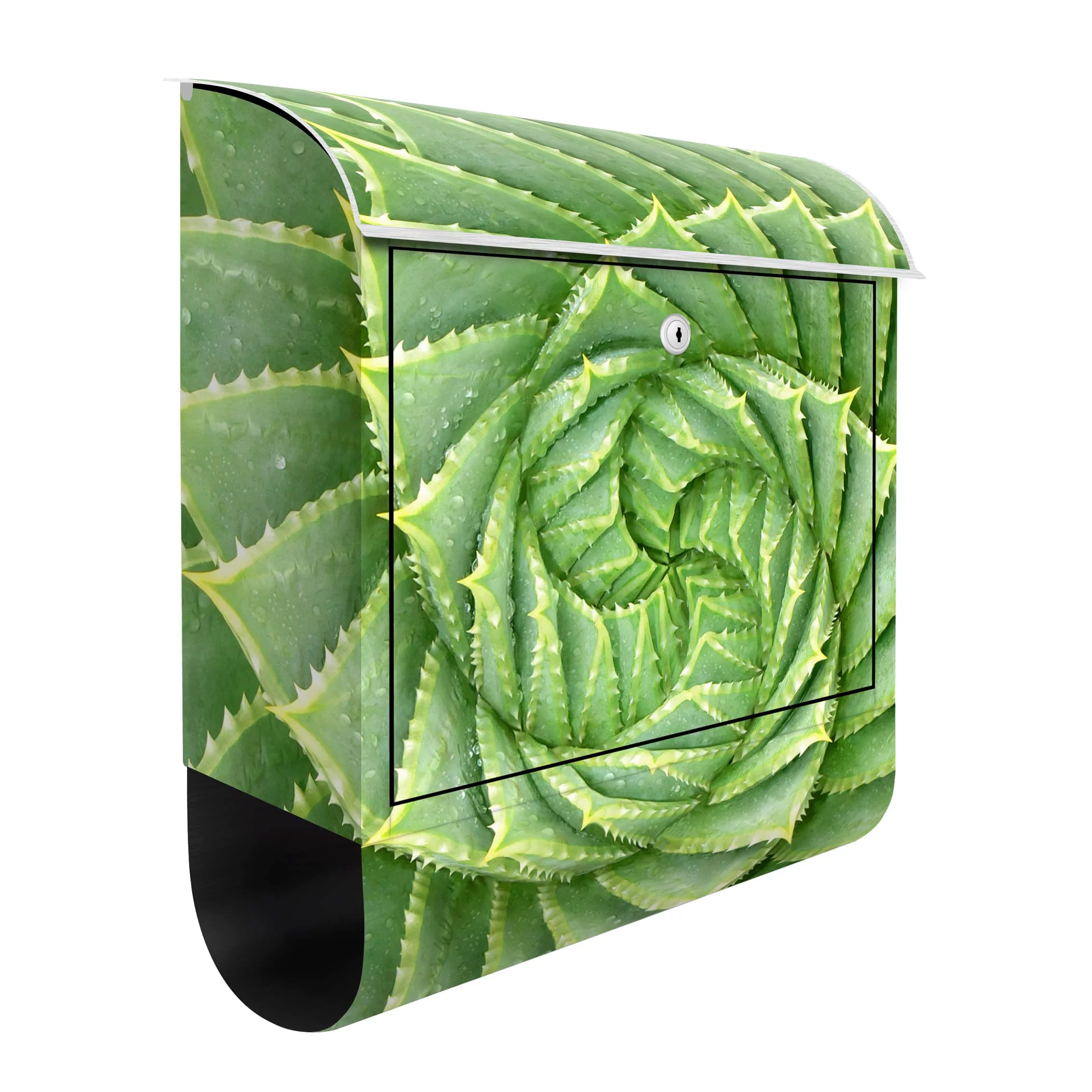 Briefkasten Botanik & Tropical Spiral Aloe günstig online kaufen