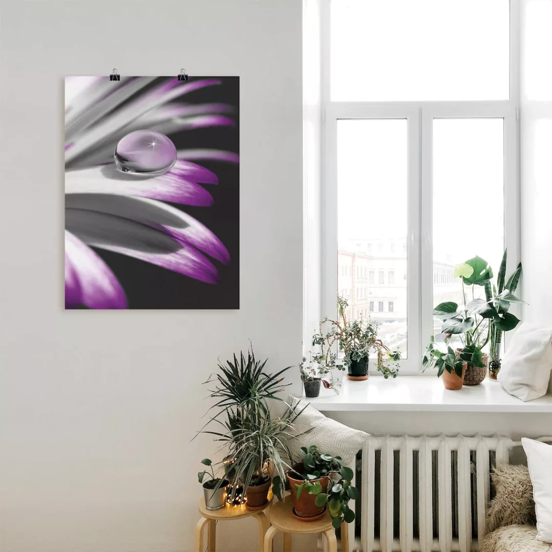 Artland Wandbild "Tropfen", Blumen, (1 St.) günstig online kaufen