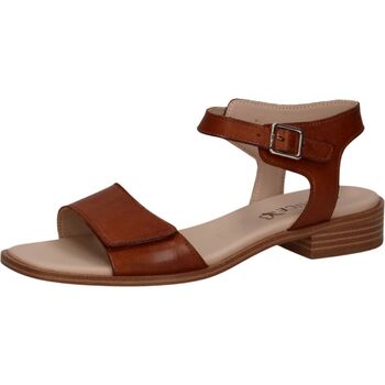 Caprice Sandalette, Blockabsatz, Riemchensandale, Businessschuh, verstellba günstig online kaufen