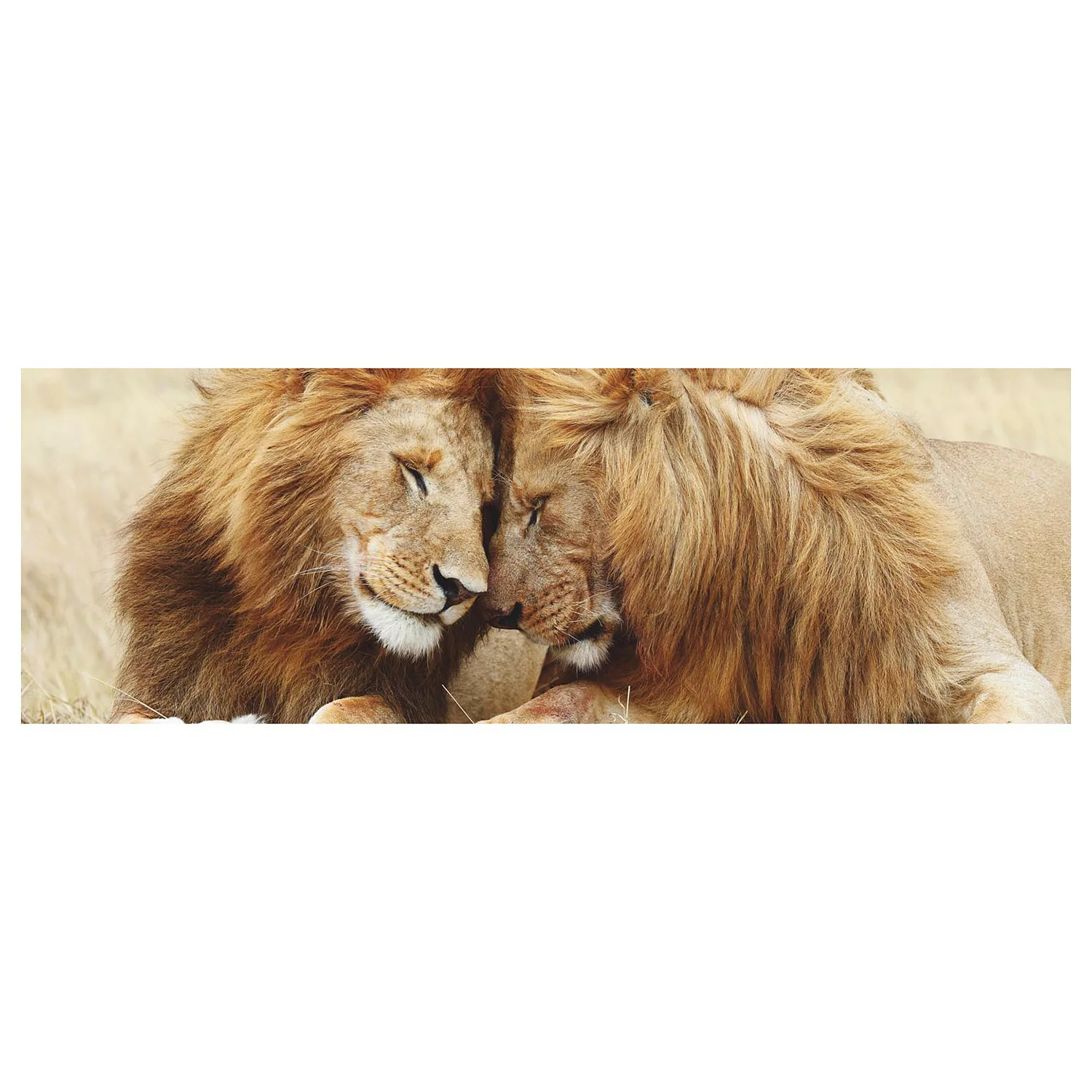 Reinders Wandbild "Löwenliebe" günstig online kaufen