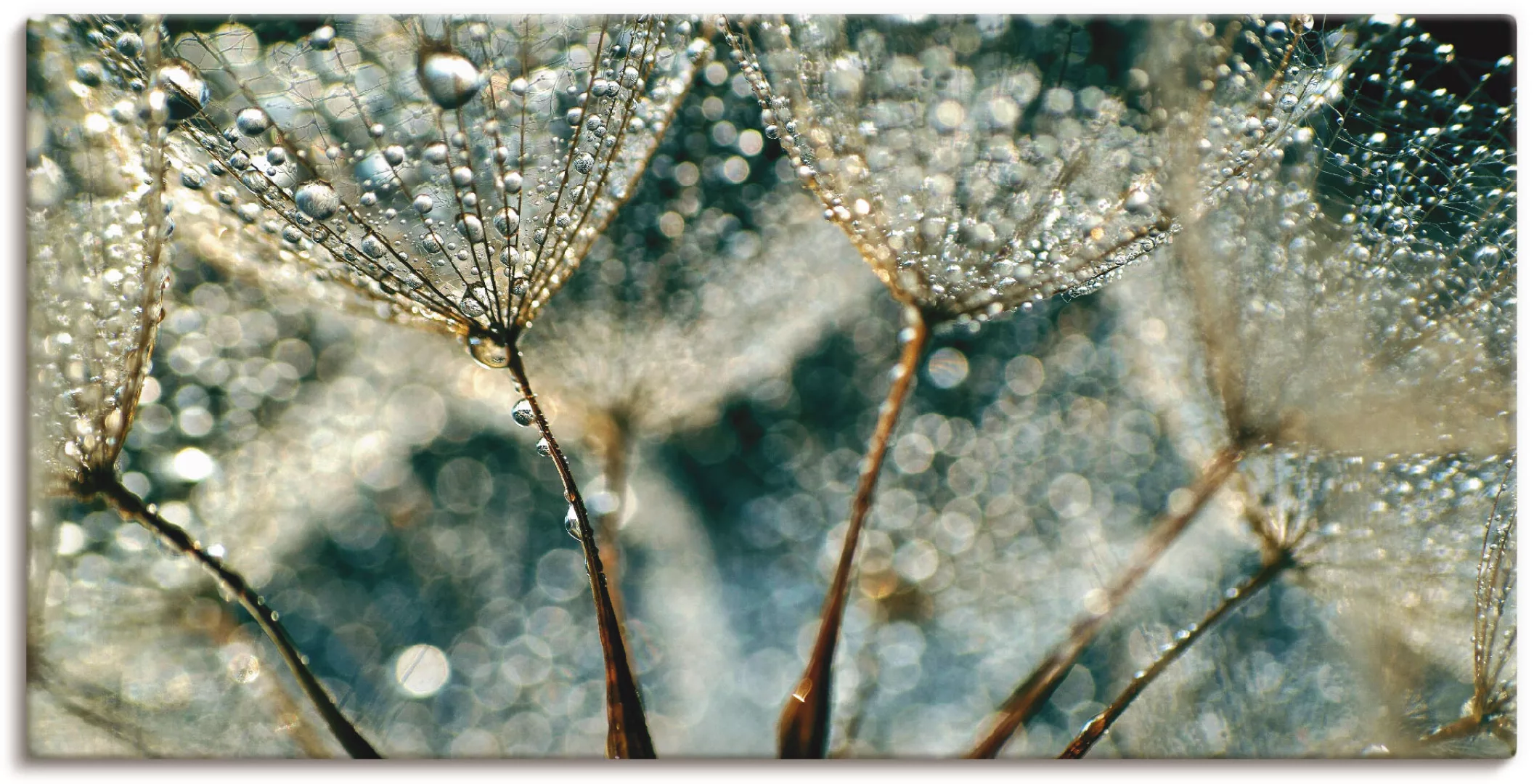 Artland Wandbild "Pusteblume Regenschauer", Blumen, (1 St.), als Alubild, O günstig online kaufen