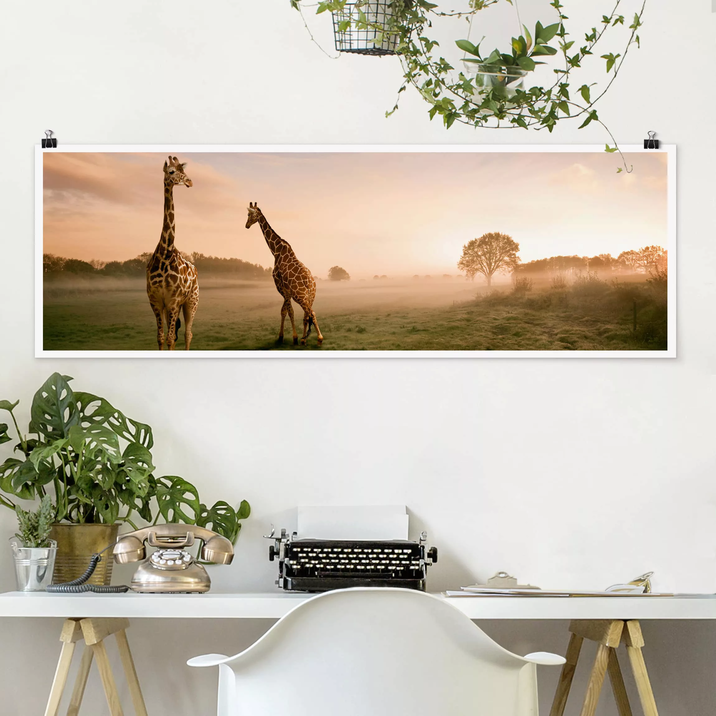 Panorama Poster Tiere Surreal Giraffes günstig online kaufen