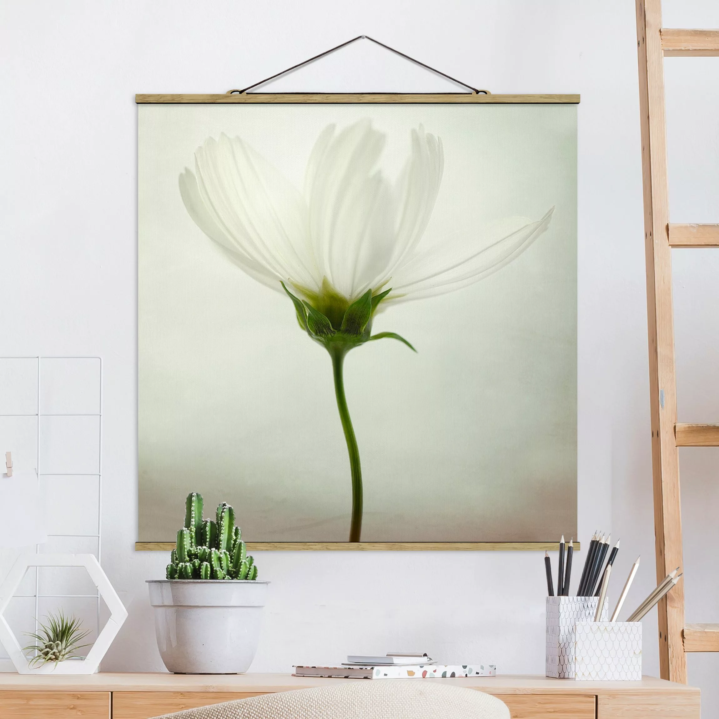 Stoffbild Blumen mit Posterleisten - Quadrat Weiße Cosmea günstig online kaufen