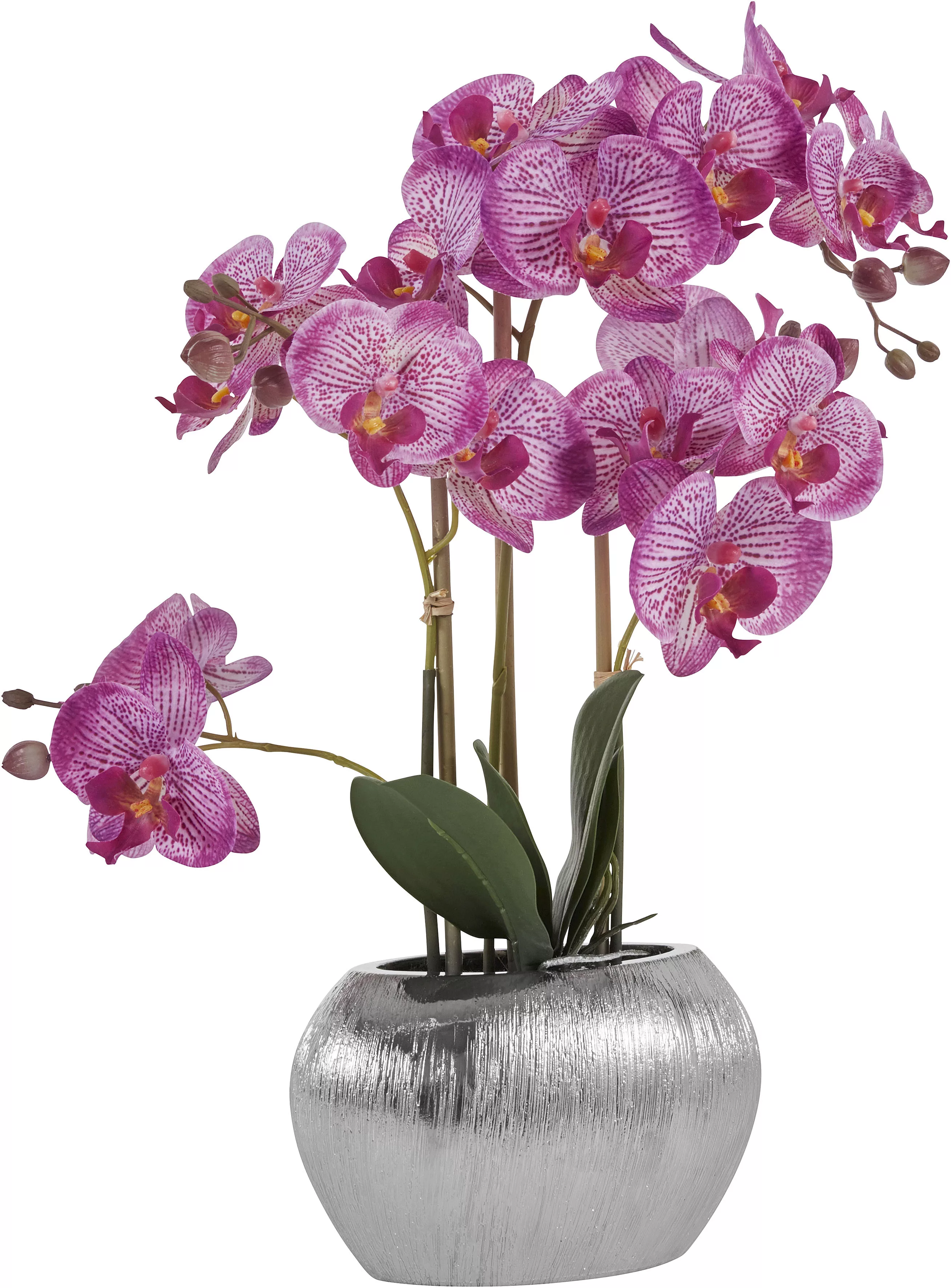 Home affaire Kunstpflanze "Orchidee" günstig online kaufen