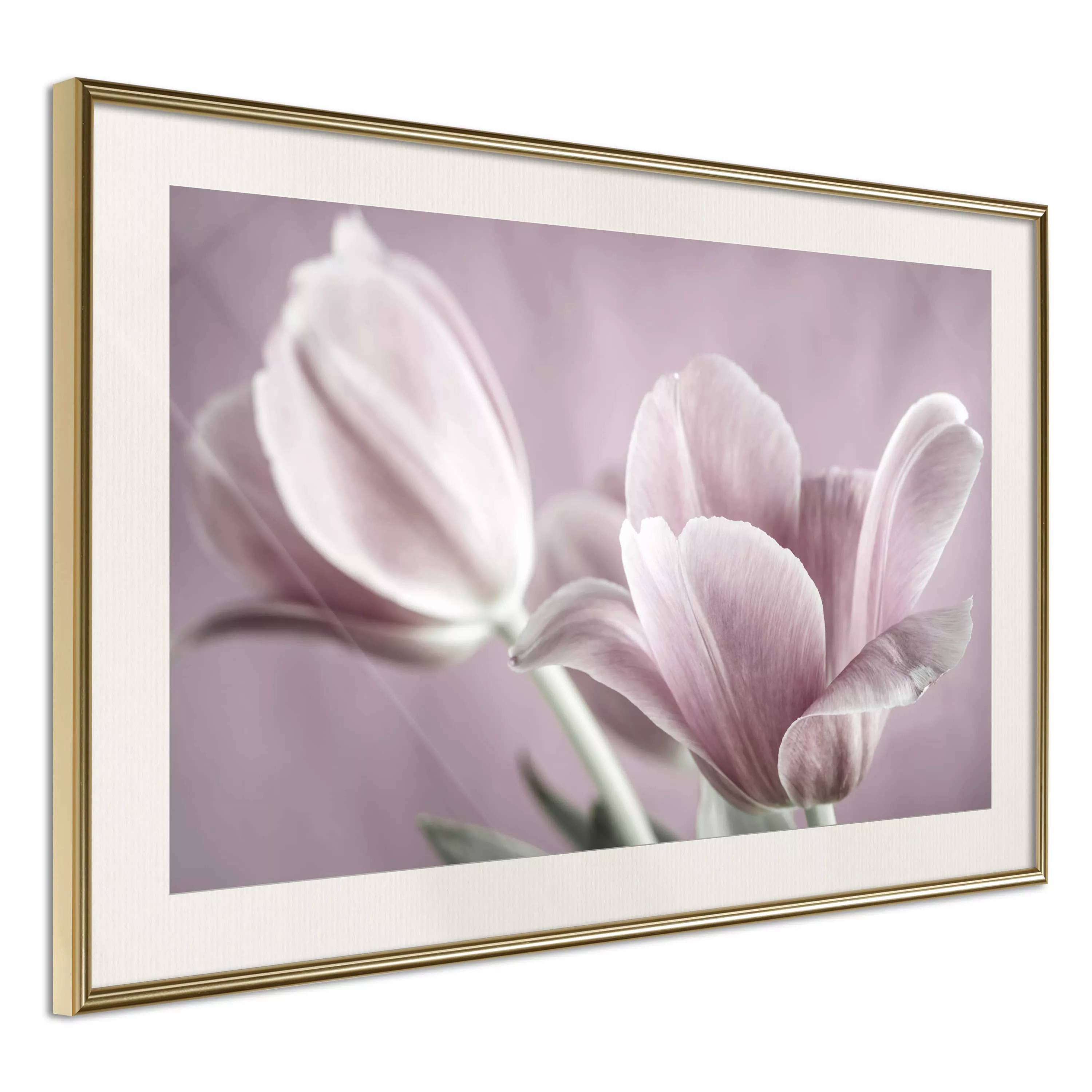 Poster - Pastel Tulips I günstig online kaufen