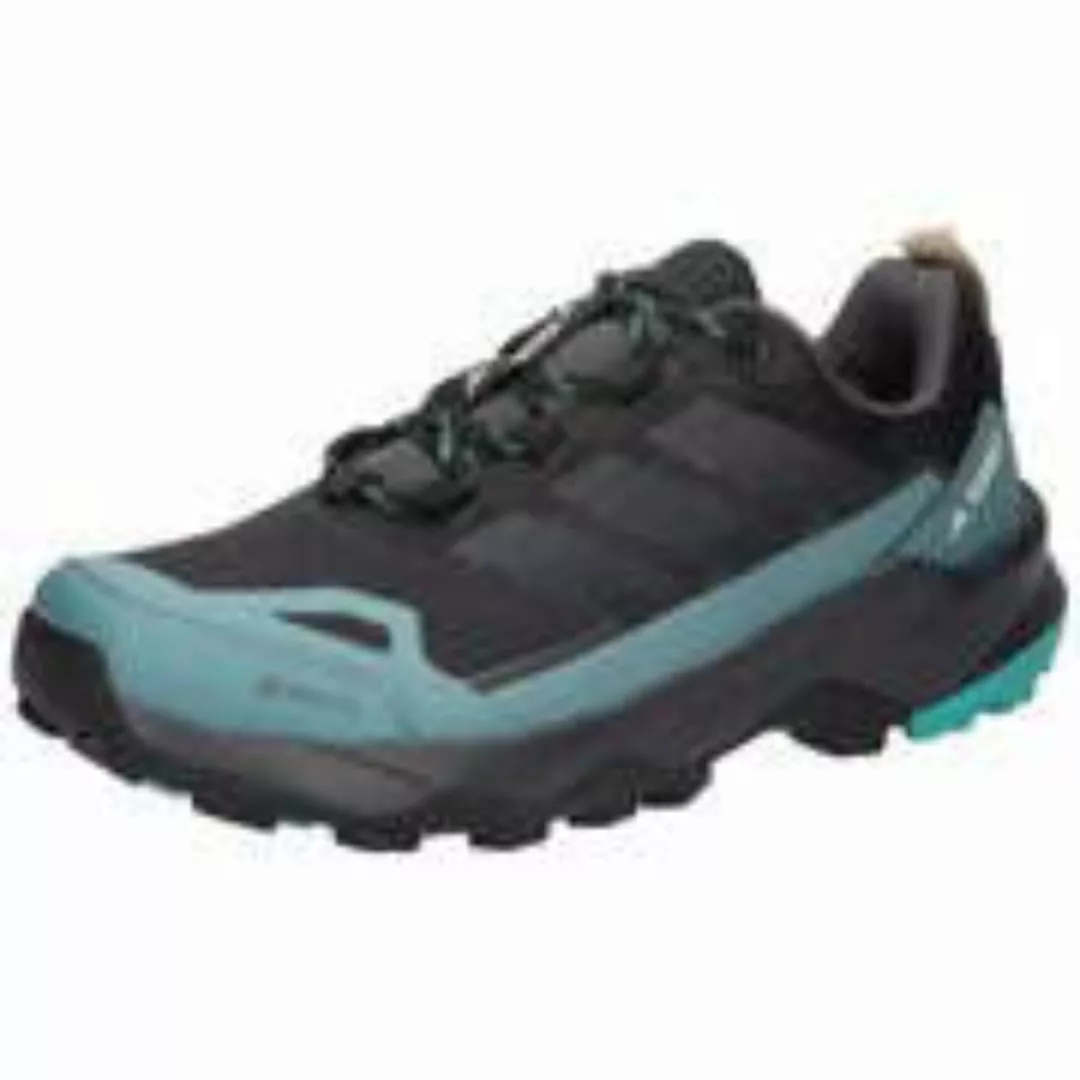 adidas Terrex Skychaser AX5 GTX Herren schwarz|schwarz günstig online kaufen