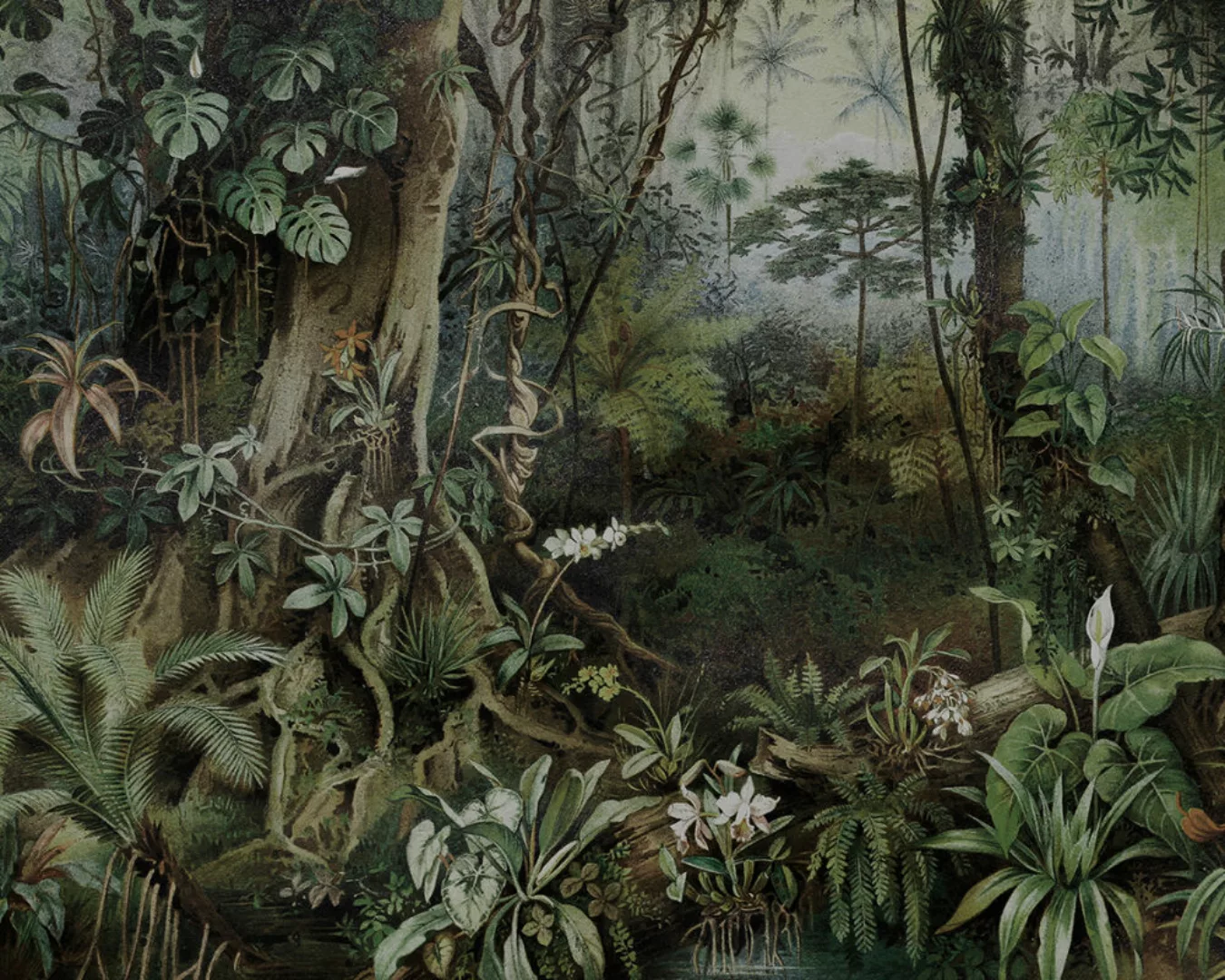 Fototapete "Jungle 2" 4,00x2,70 m / Strukturvlies Klassik günstig online kaufen