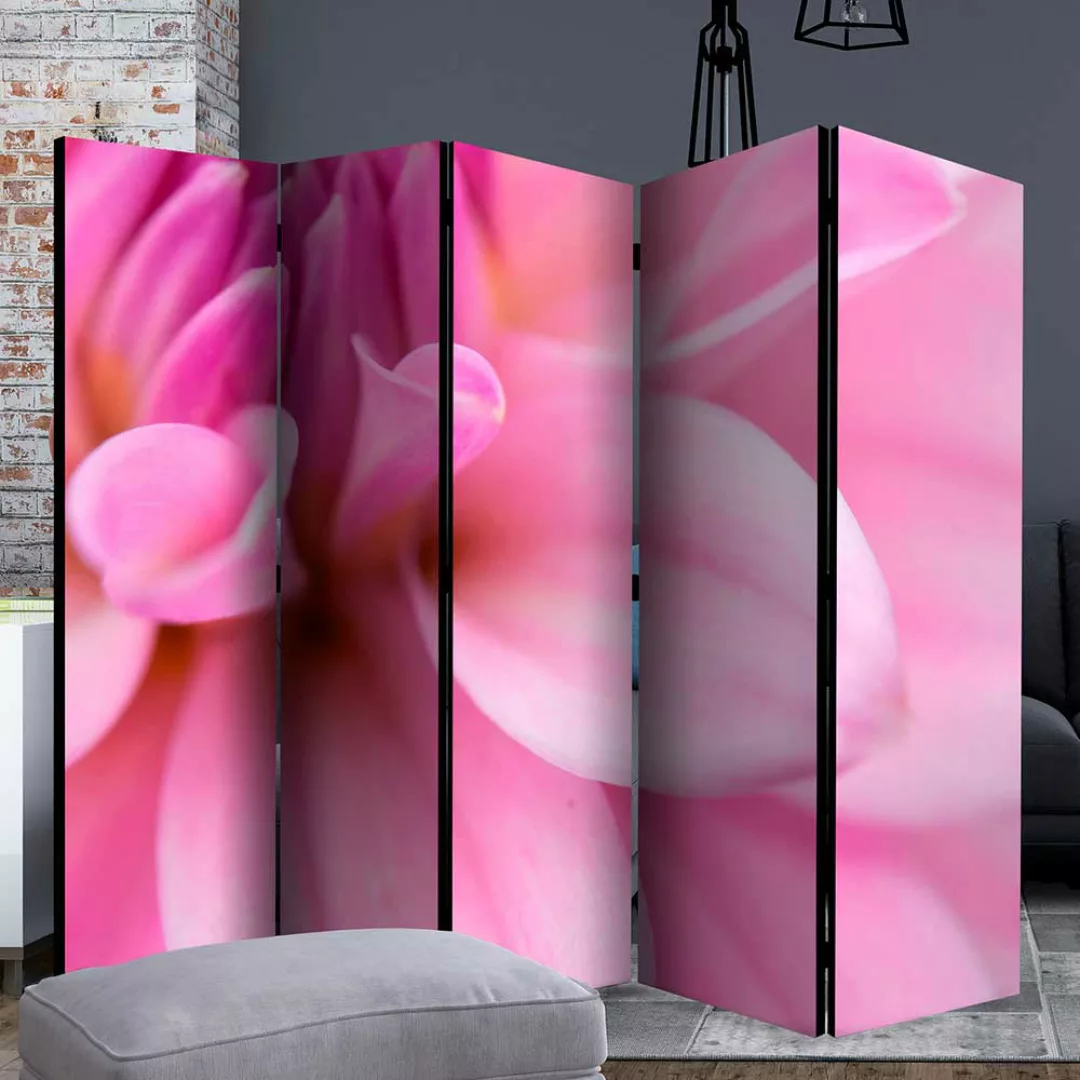 Sichtschutz Wand in Pink und Rosa Nahaufnahme Dahlie günstig online kaufen