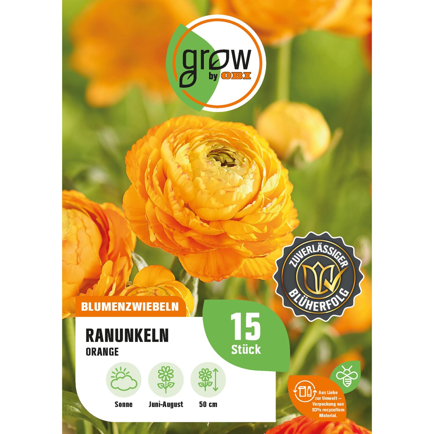 GROW by OBI Ranunkel Asiatisch Orange Höhe ca. 50 cm Ranuculus asiaticus günstig online kaufen