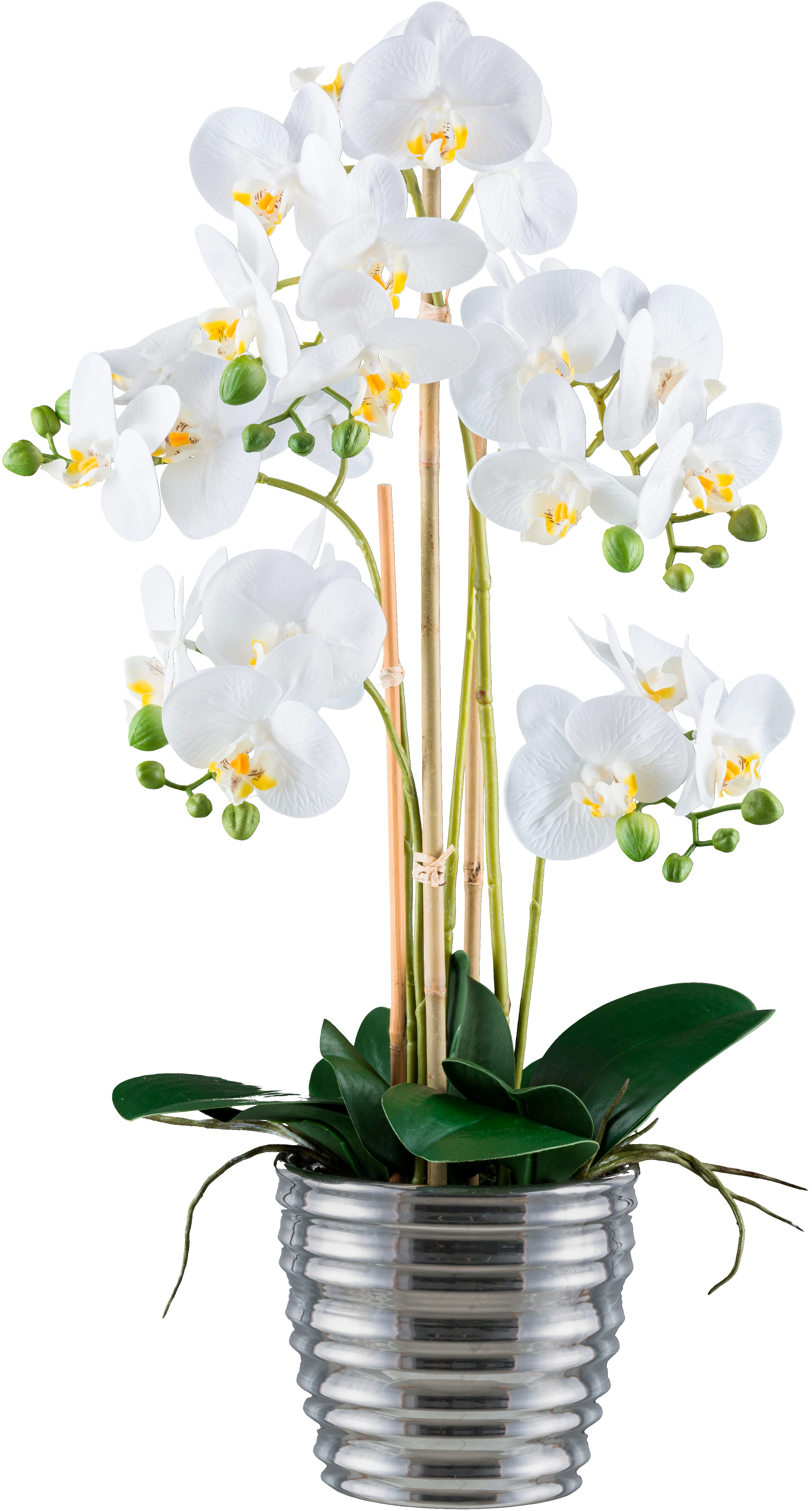 Creativ green Kunstorchidee "Orchidee Phalaenopsis", mit silberfarbenem Ker günstig online kaufen