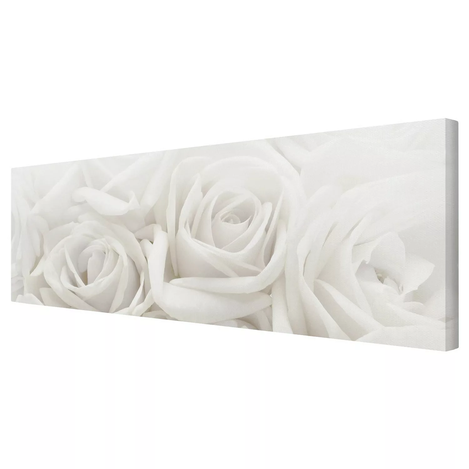home24 Leinwandbild Weiße Rosen I günstig online kaufen