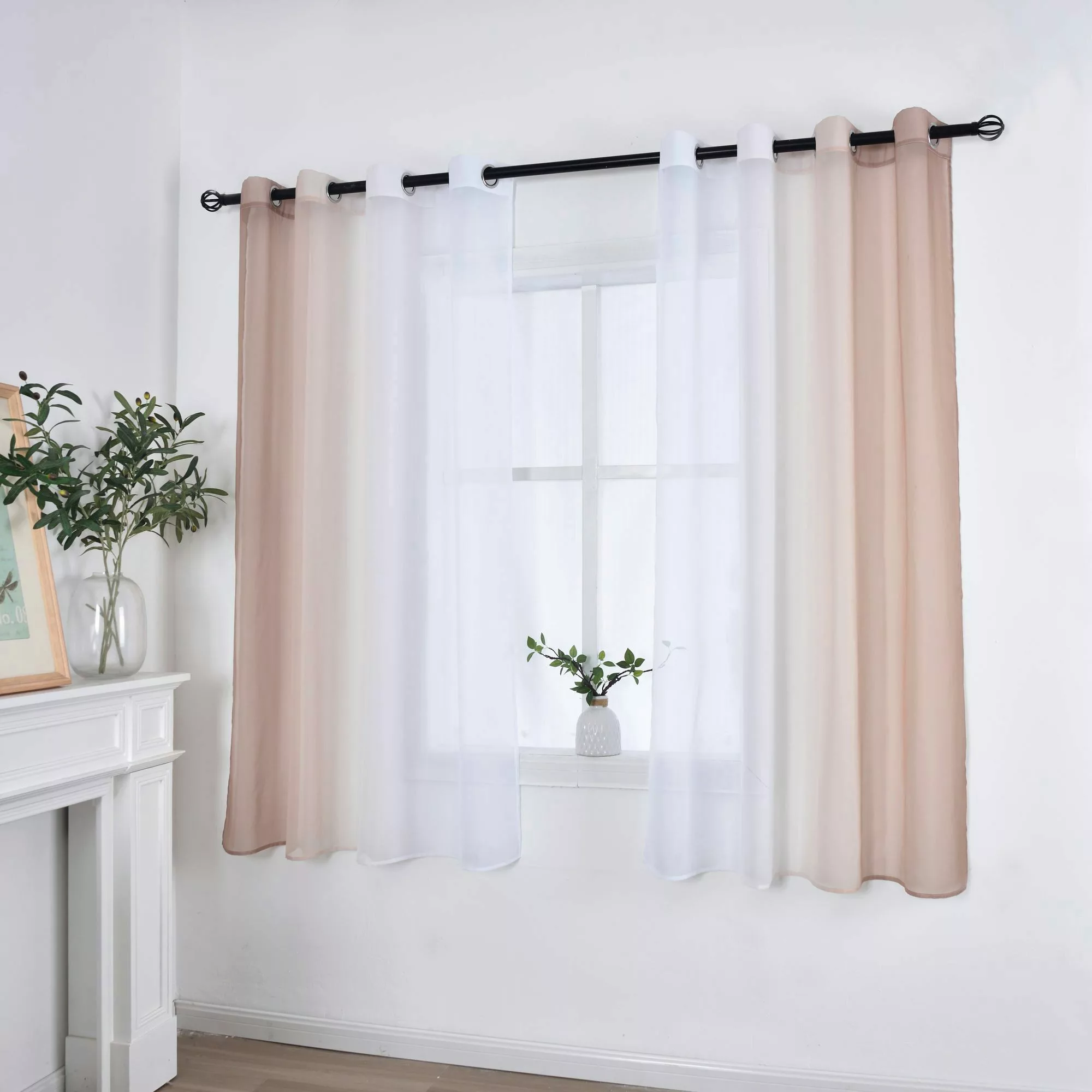 Gardinenbox Gardine, Ösen (2 St), transparent, günstig online kaufen