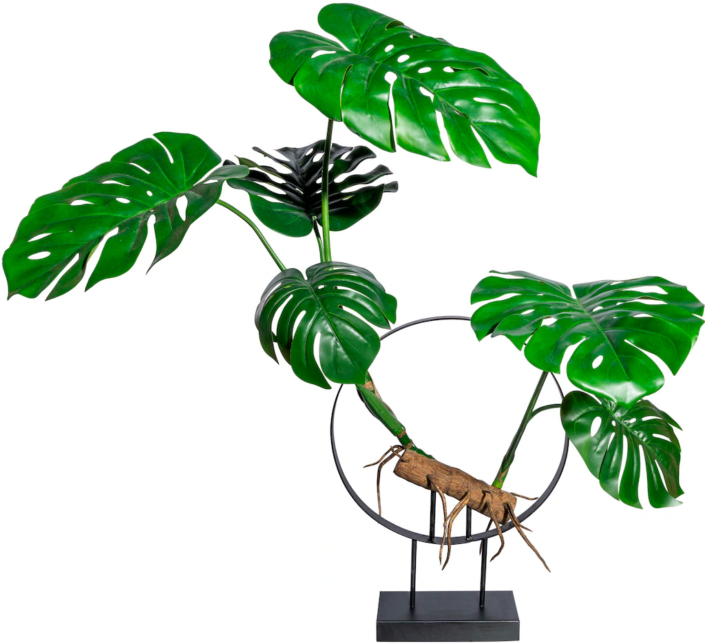 Creativ green Kunstbaum "Dekoobjekt Splitphildendron" günstig online kaufen