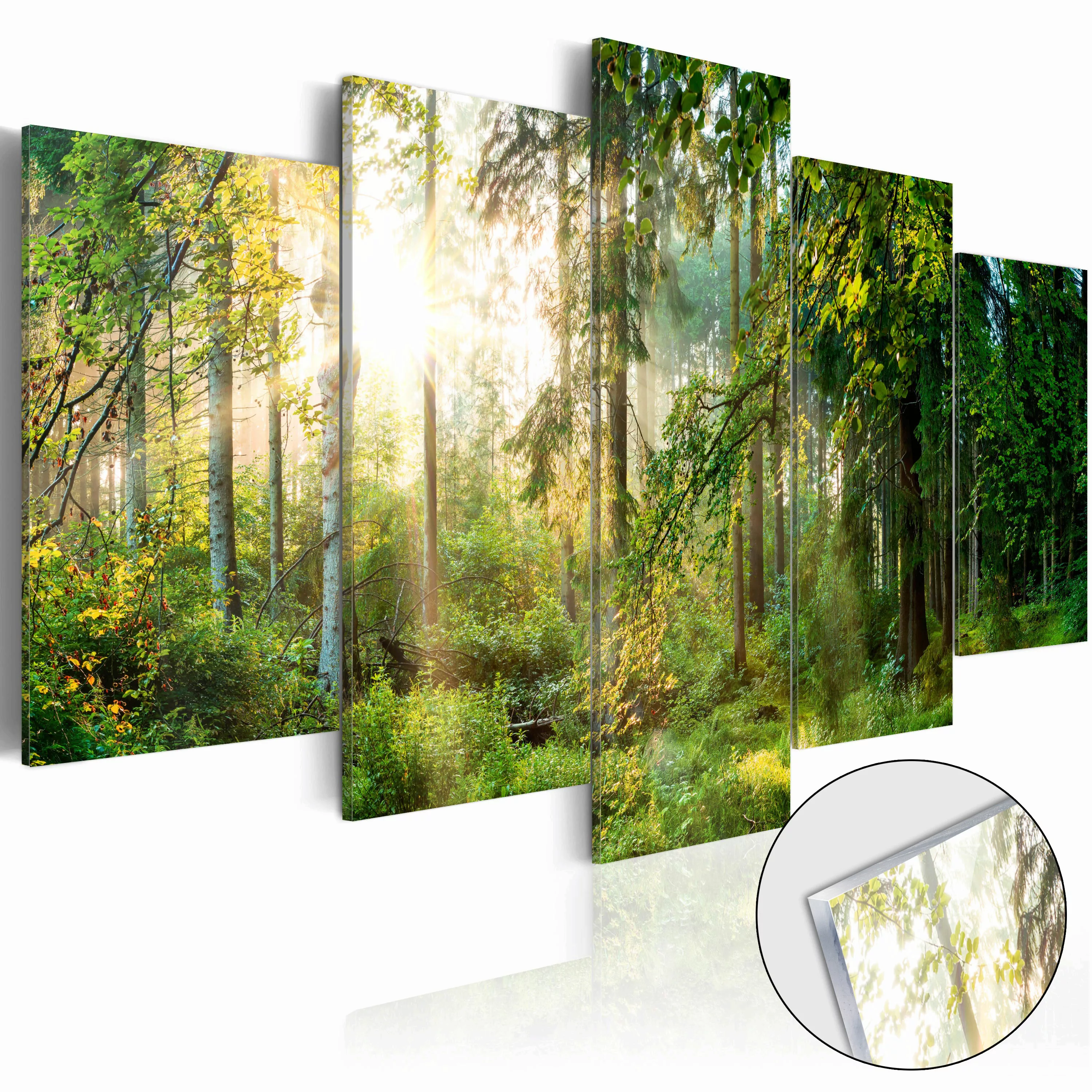 Acrylglasbild - Green Sanctuary [glass] günstig online kaufen