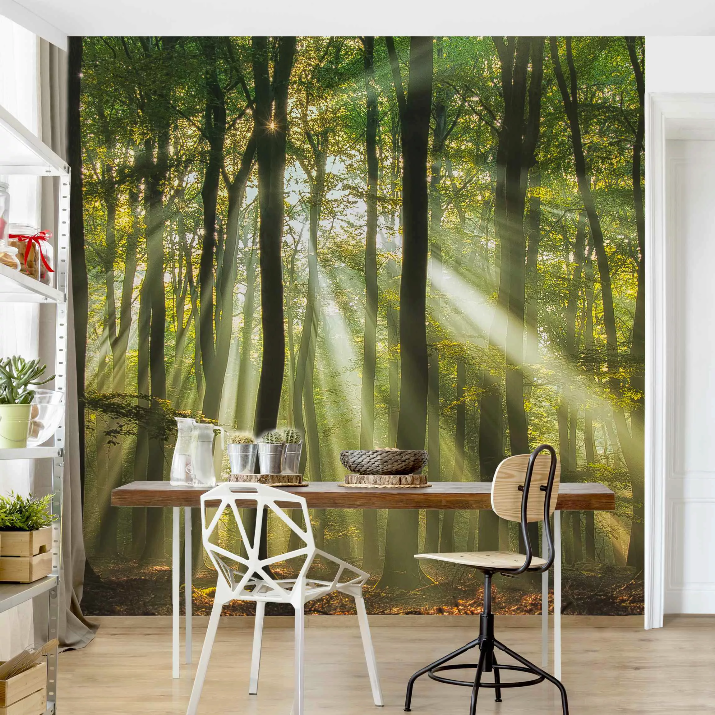 Fototapete Sonnentag im Wald günstig online kaufen