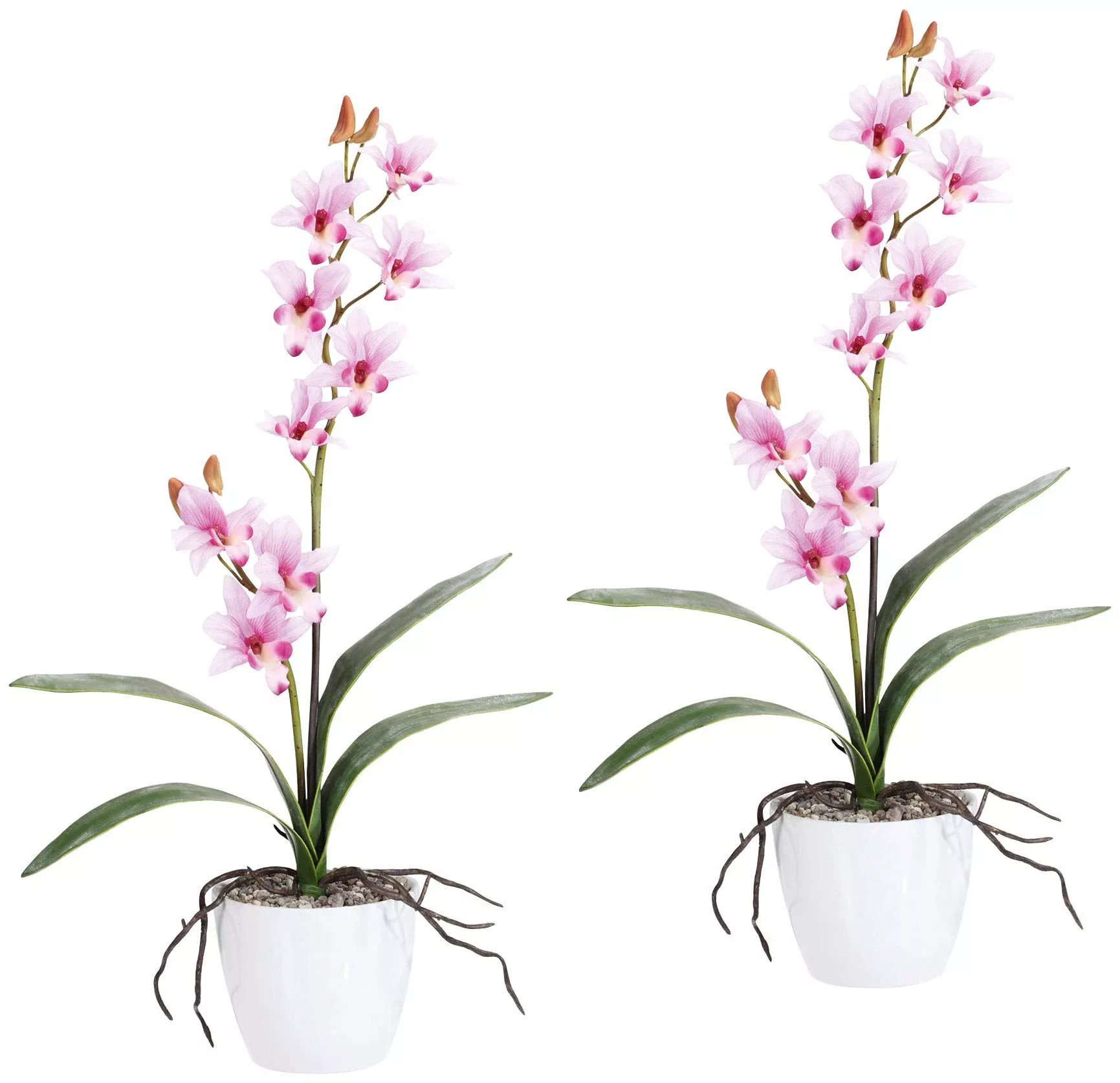 Creativ green Kunstpflanze "Orchidee Dendrobie" günstig online kaufen