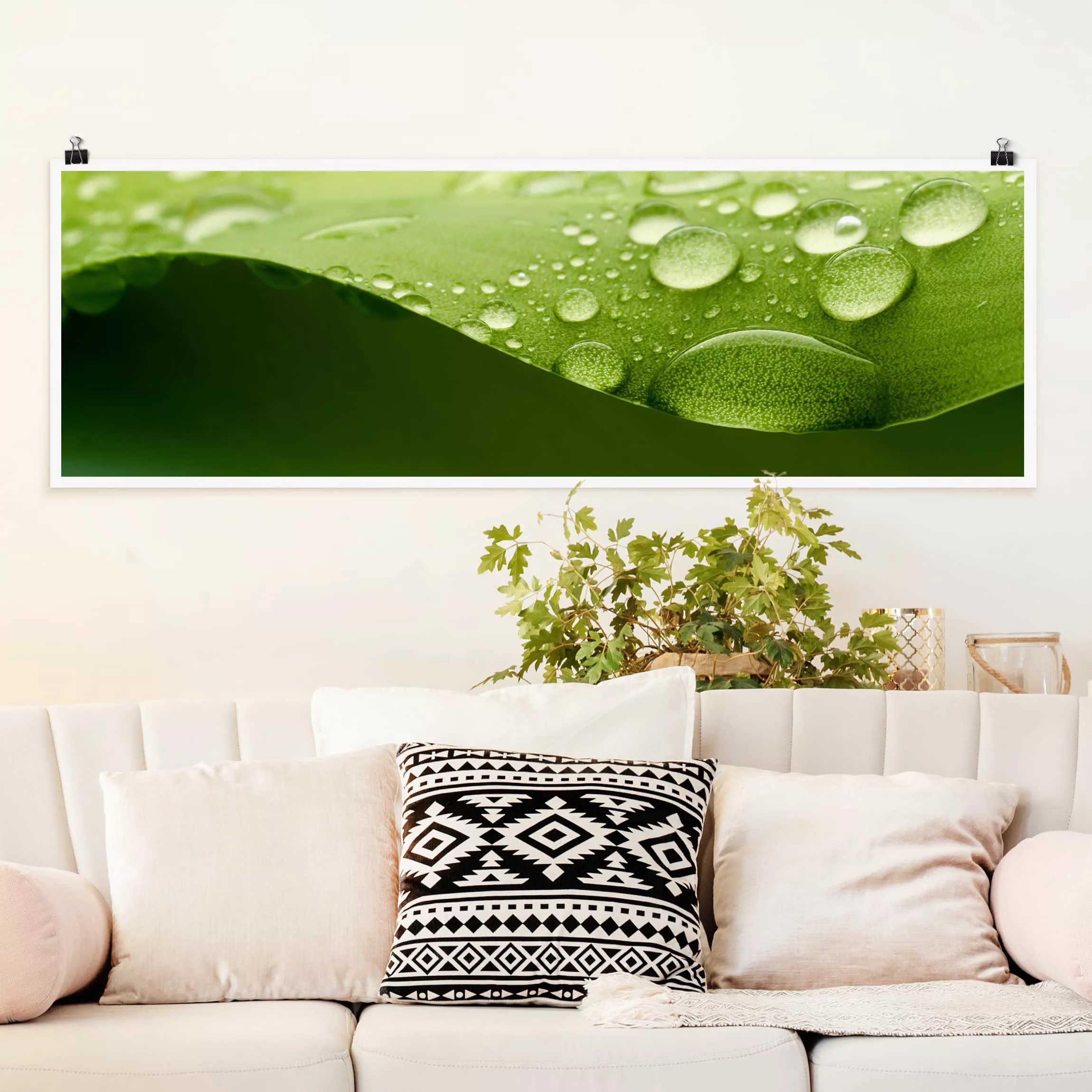 Panorama Poster Blumen Drops of Nature günstig online kaufen