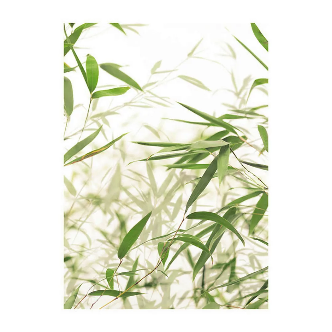 Komar Wandbild Bamboo Leaves Pflanzen B/L: ca. 30x40 cm günstig online kaufen