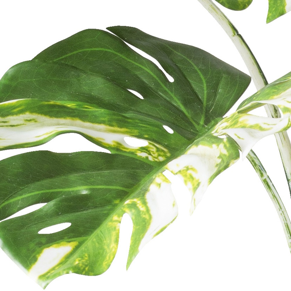 Creativ green Kunstbaum "Monstera deliciosa variegata", mit grün-weißen Blä günstig online kaufen