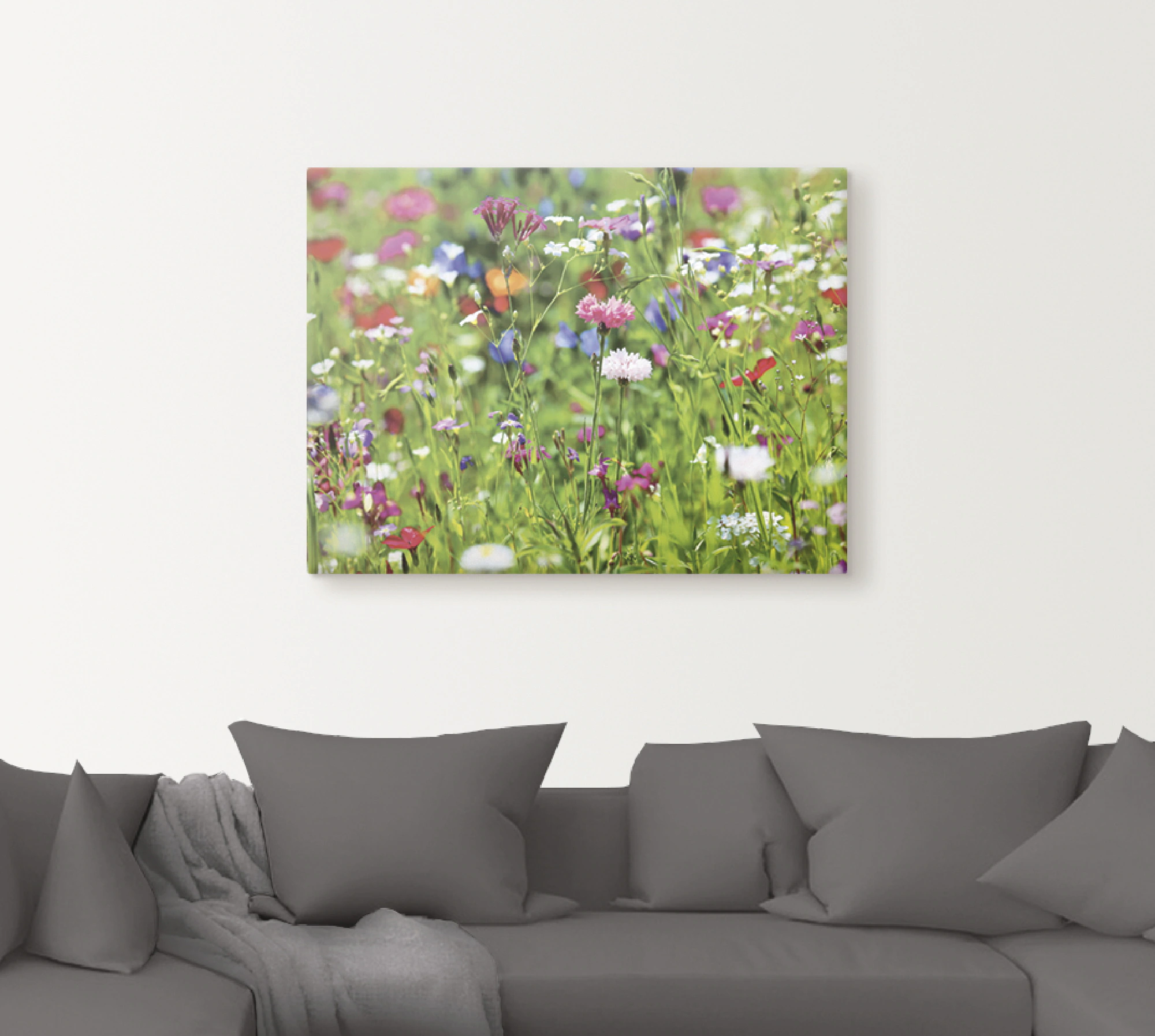Artland Wandbild "Blumenwiese I", Blumenwiese, (1 St.), als Leinwandbild, P günstig online kaufen