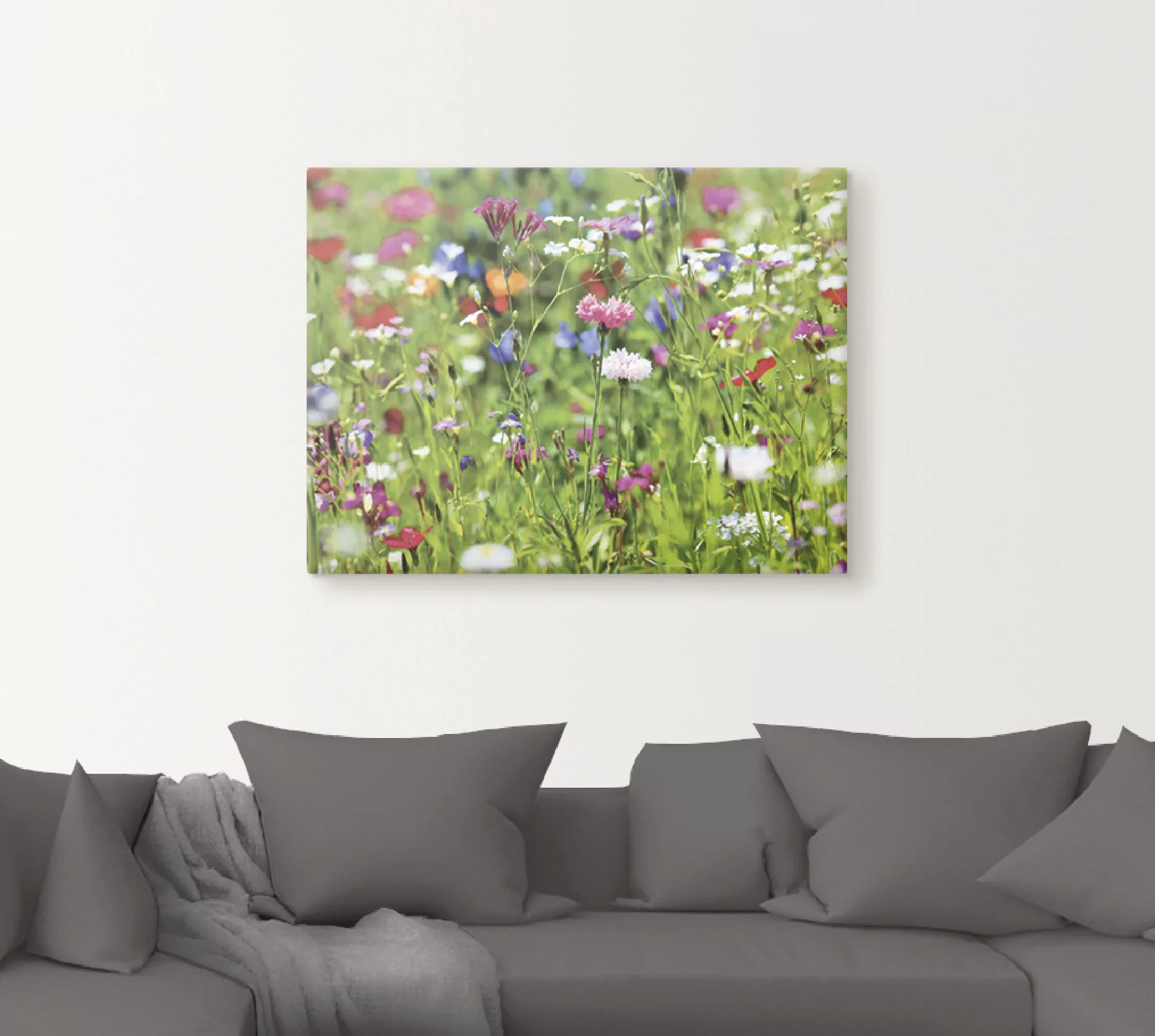 Artland Wandbild »Blumenwiese I«, Blumenwiese, (1 St.), als Leinwandbild, P günstig online kaufen