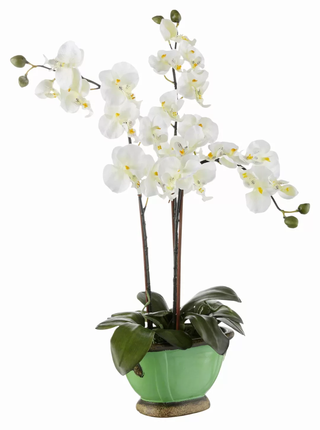 I.GE.A. Kunstpflanze "Orchidee" günstig online kaufen