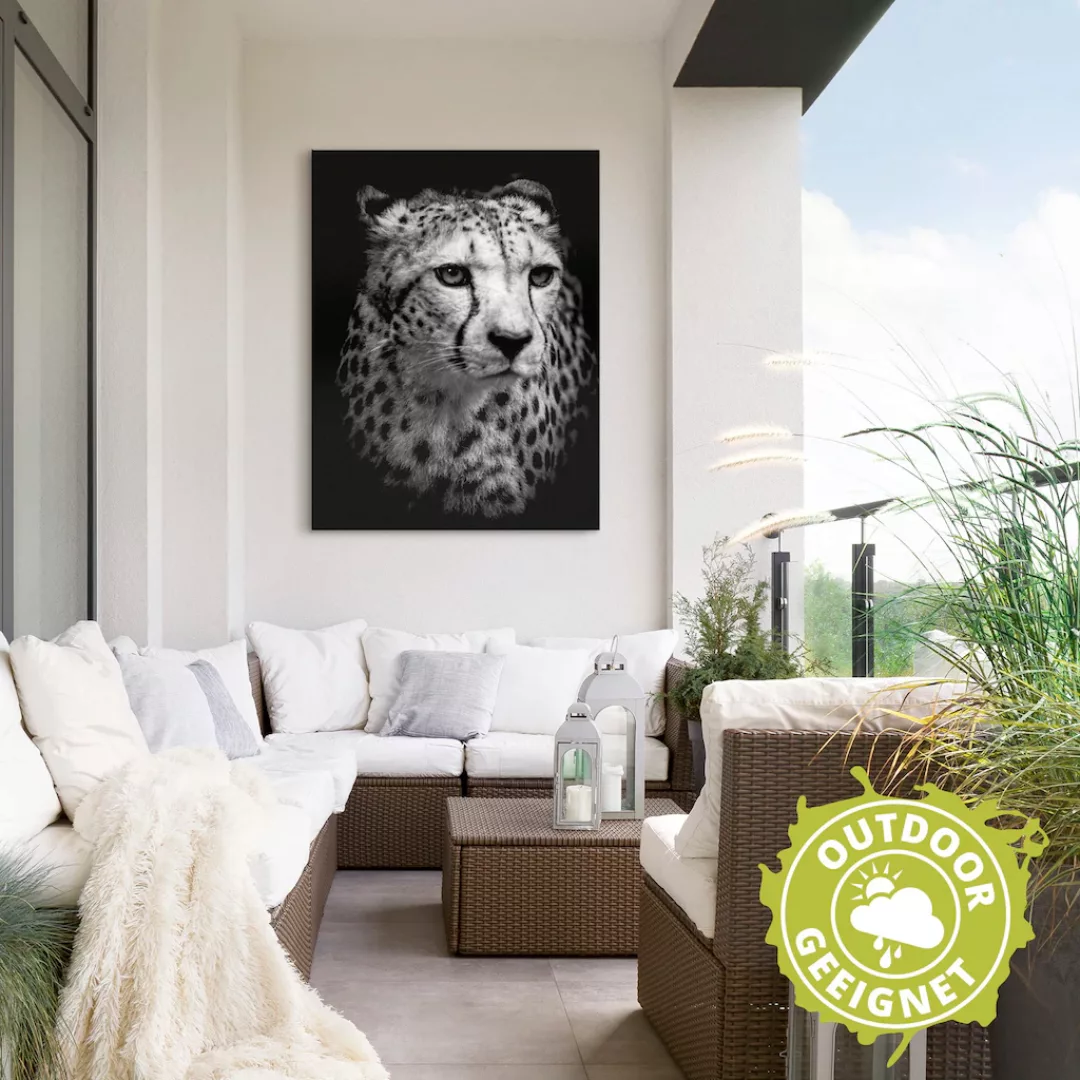 Artland Wandbild "Der Gepard", Wildtiere, (1 St.) günstig online kaufen